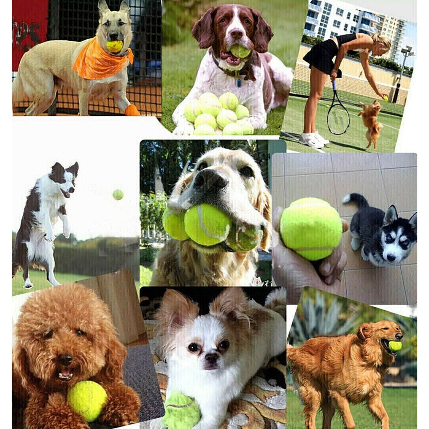 Dog Fetch Toy Tennis Ball Gun Launcher Pet Interactive Outdoor Play
