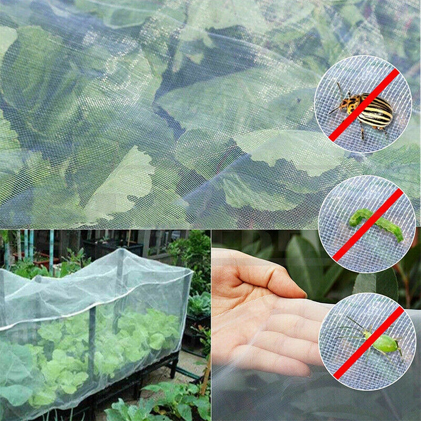 Insect Protection Mesh Netting for Fruits and Vegetable Plants