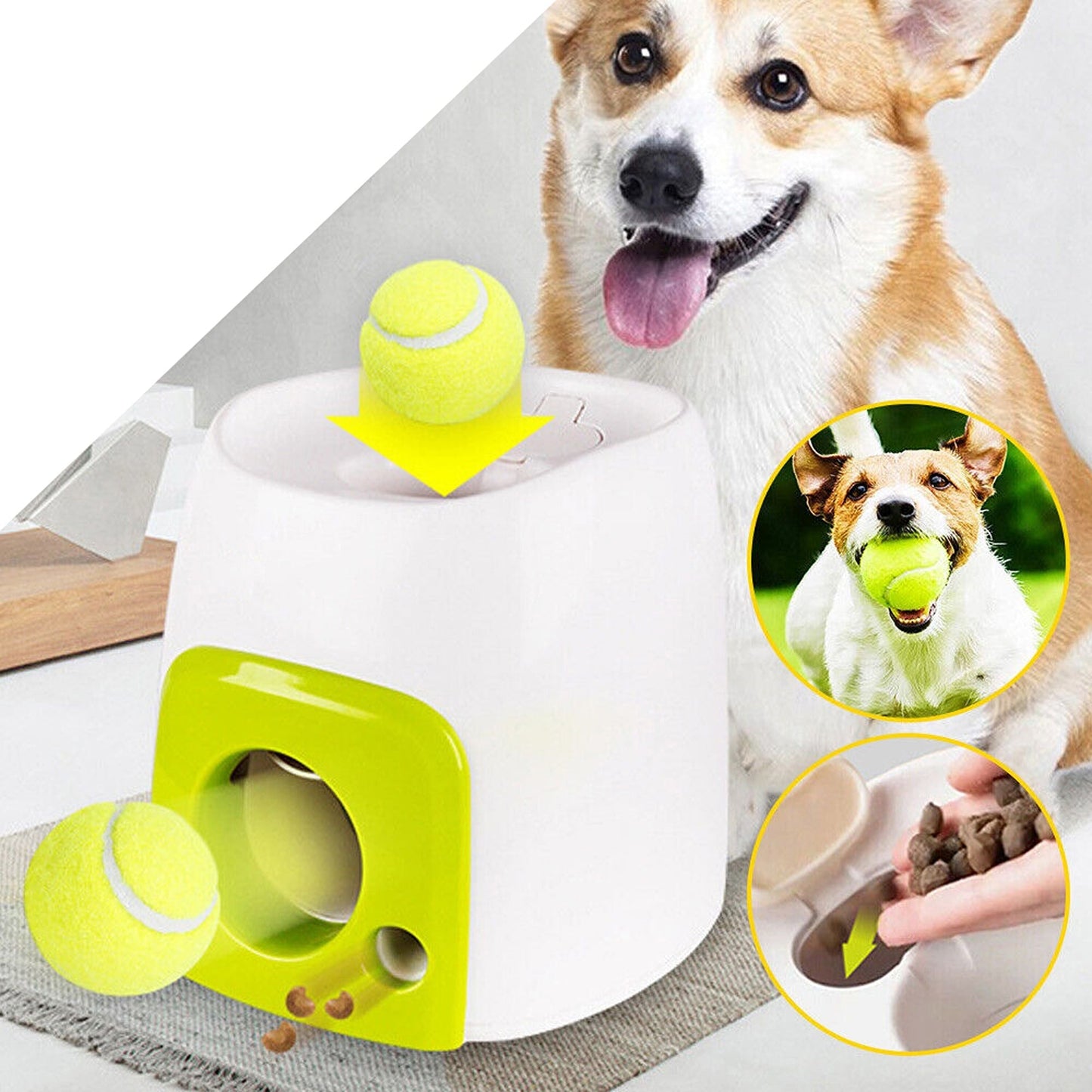 Interactive Tennis Ball Machine for Dogs Automatic Pet Training with Snack Dispenser