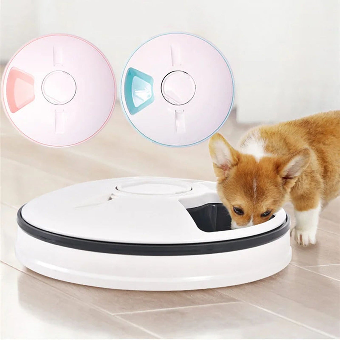 Digital Automatic Pet Food Dispenser with Programmable LCD 6 Meals