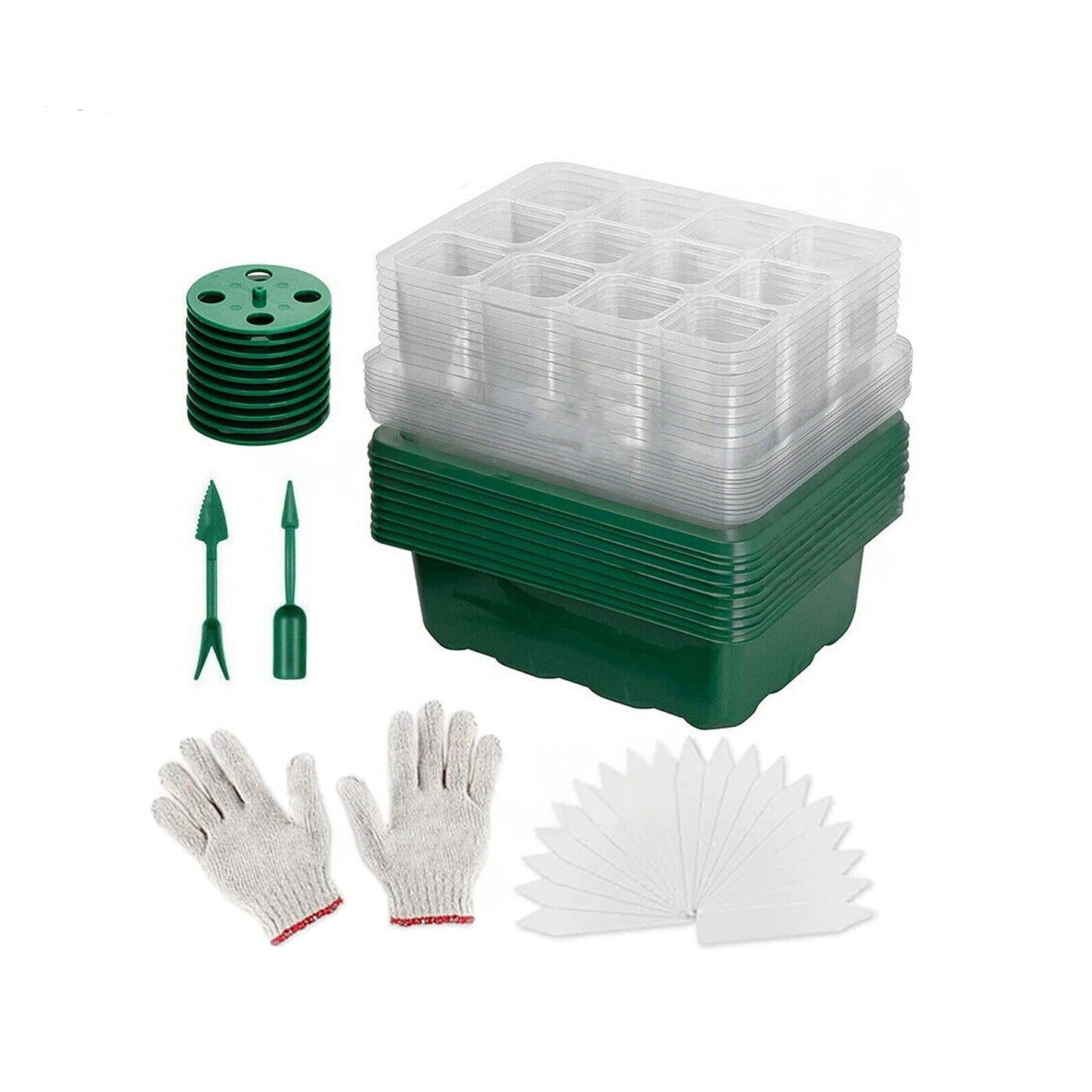 Set of 10 Seedling Starter Tray for Plant Growth and Propagation