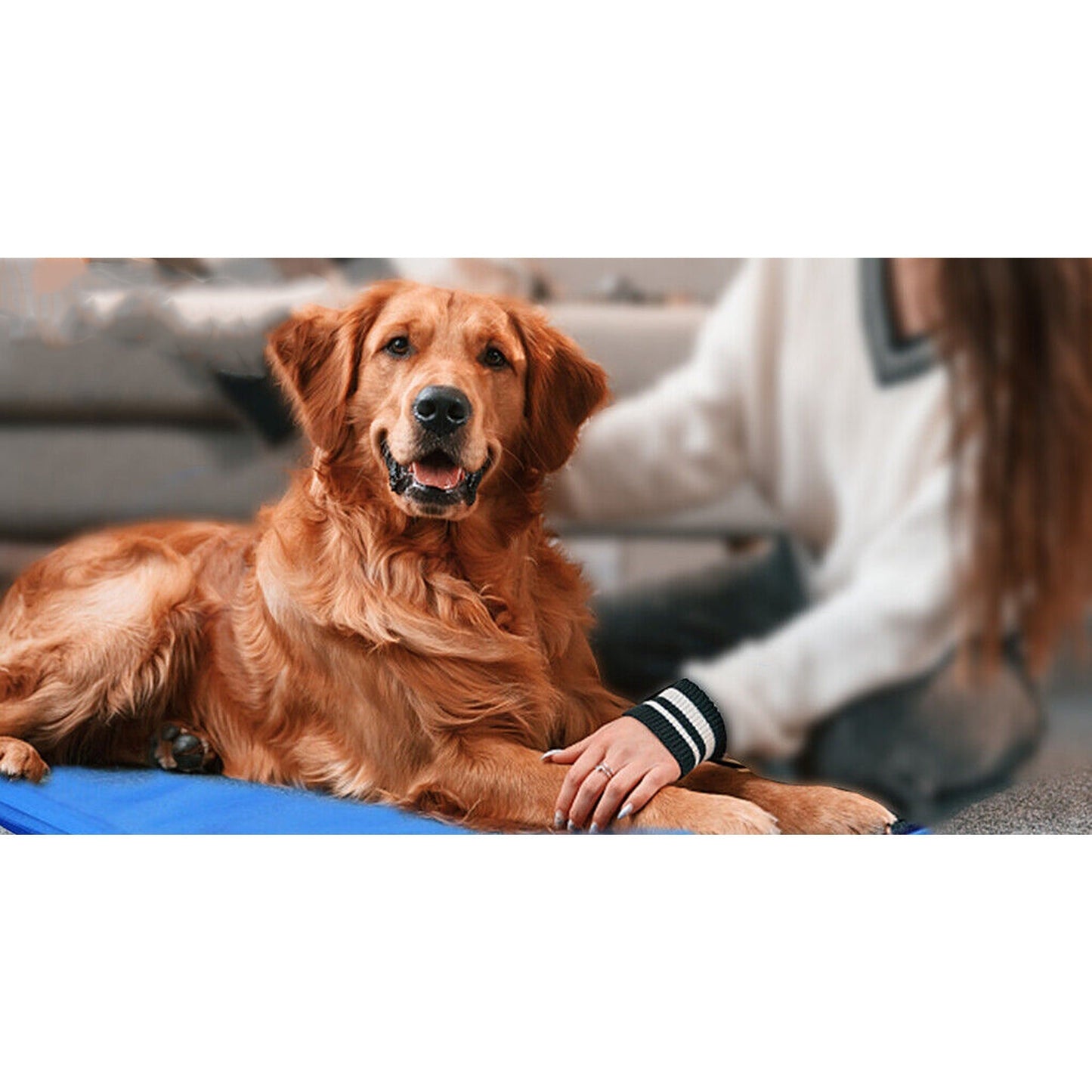 Non-Toxic Cooling Gel Mat for Dogs and Cats Summer Cool Bed