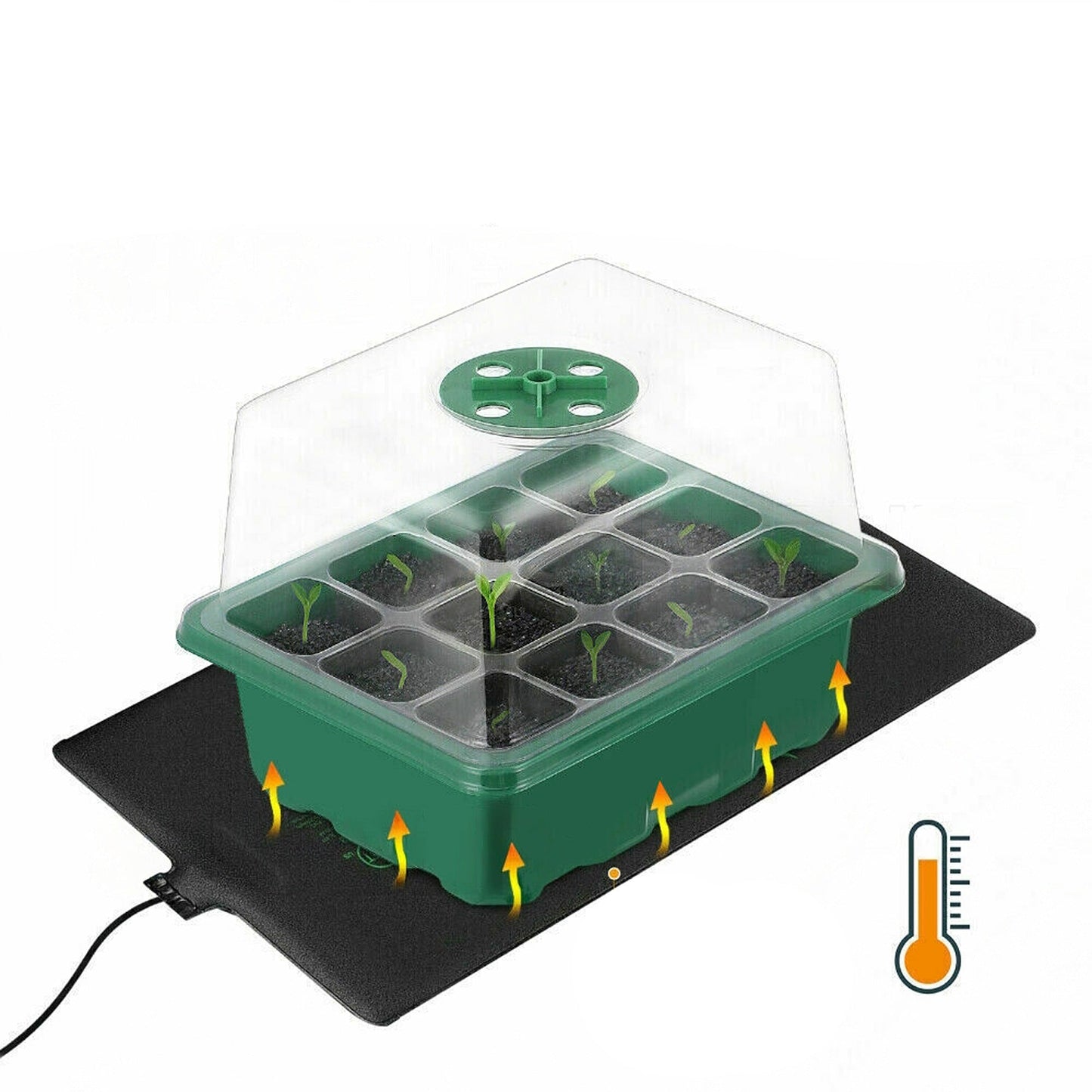 Set of 10 Seedling Starter Tray for Plant Growth and Propagation