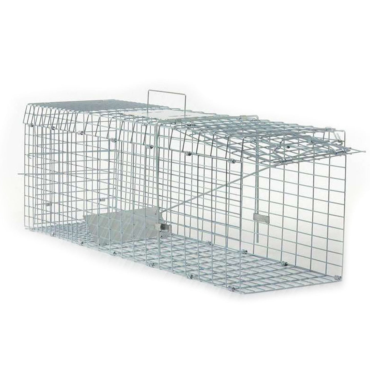 Live Catch Animal Trap Cage for Possum Cat Rabbit and Fox - Humane