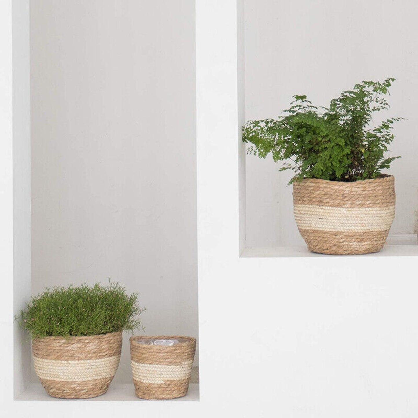 Indoor/Outdoor Grass Planter Basket Home Plant Container for Flowers