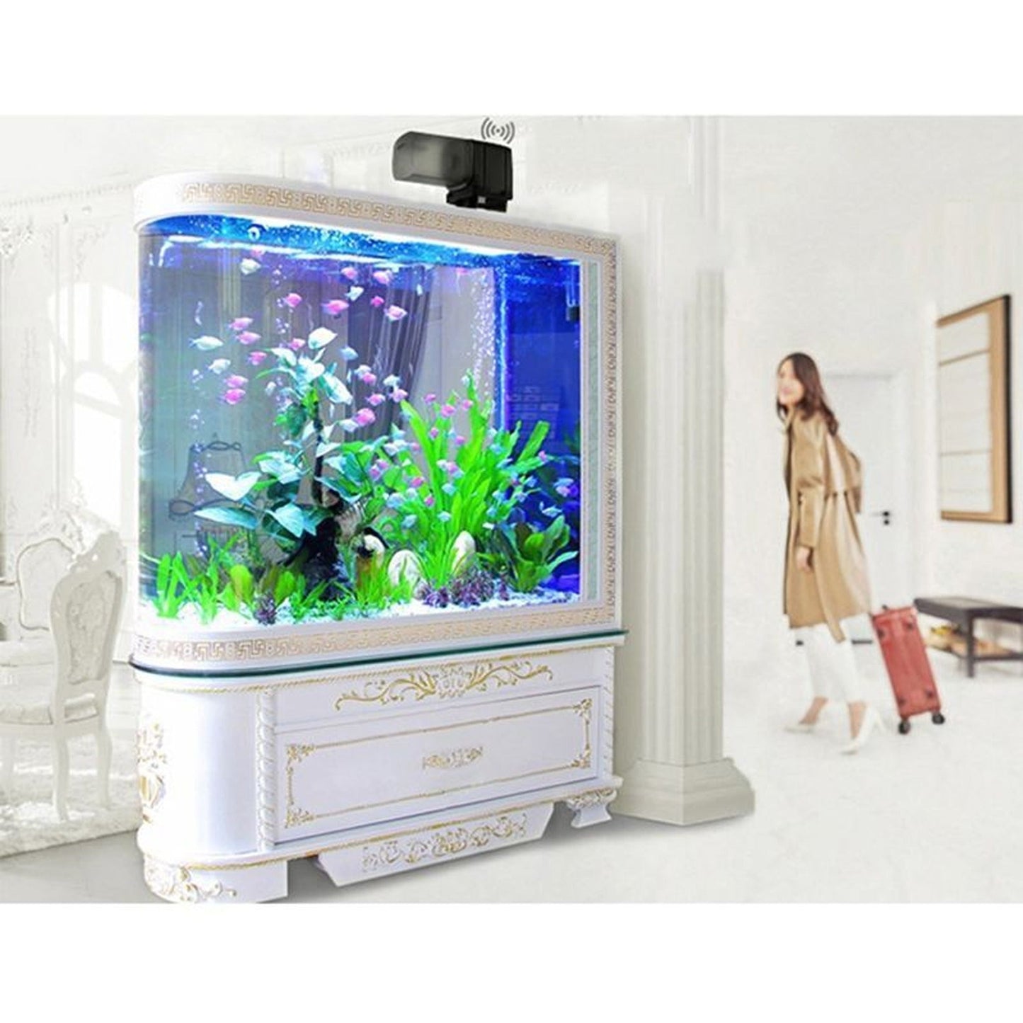 Automatic WiFi Fish Food Dispenser for Aquariums