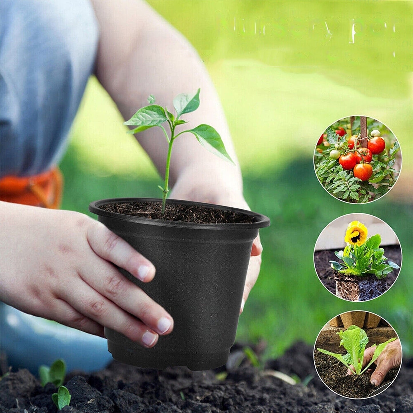 100pcs Plastic Growing Containers for Nursery Plants and Seedlings
