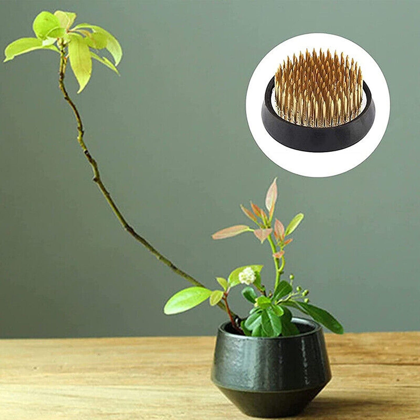 For Ikebana Kenzan Spiky Frog Fixed Tool Flower Arrangement Round Base