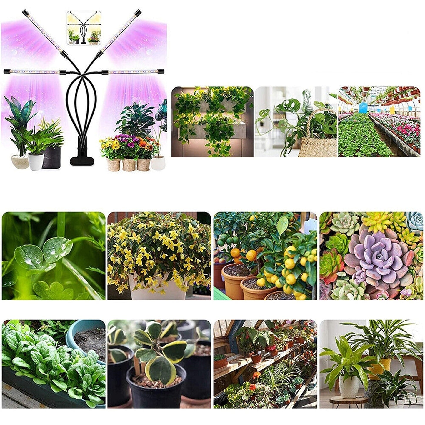 Advanced Indoor Plant Growth Light 80 LED 4 Head 40W