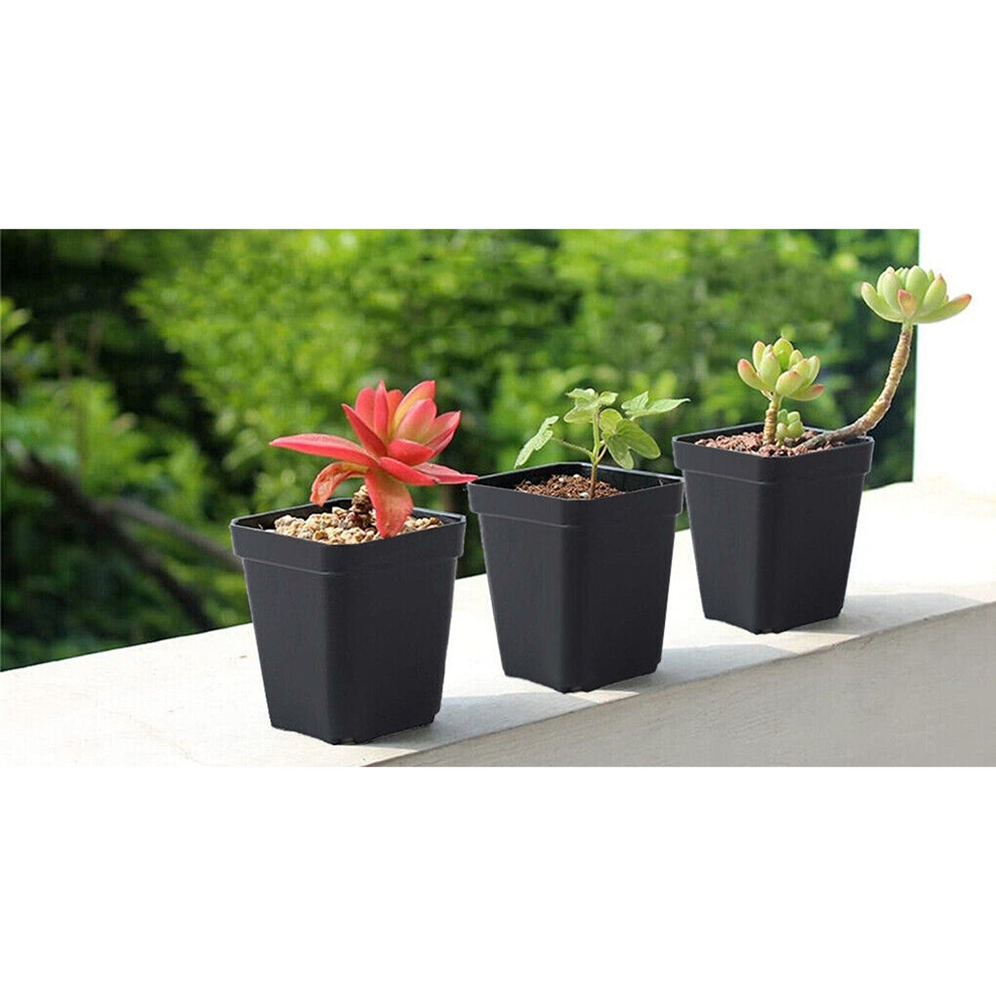 Seedling Nursery Pots Plastic Plant and Flower Containers for Garden