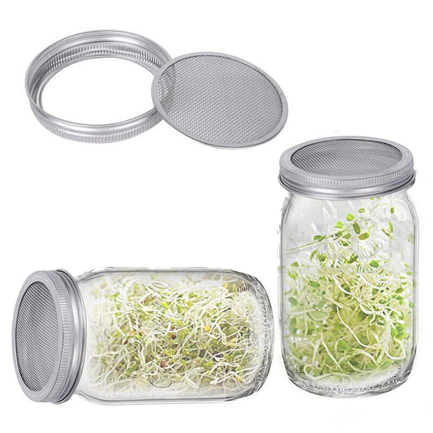 Mason Jar Seed Germination Kit with Sprouter Lids and Stands - 2 Sets