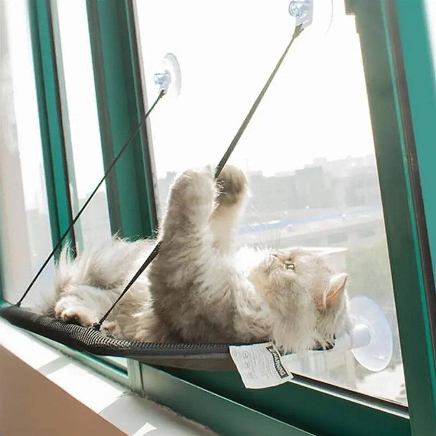Durable Window Mounted Pet Cat Hammock Hanging Bed