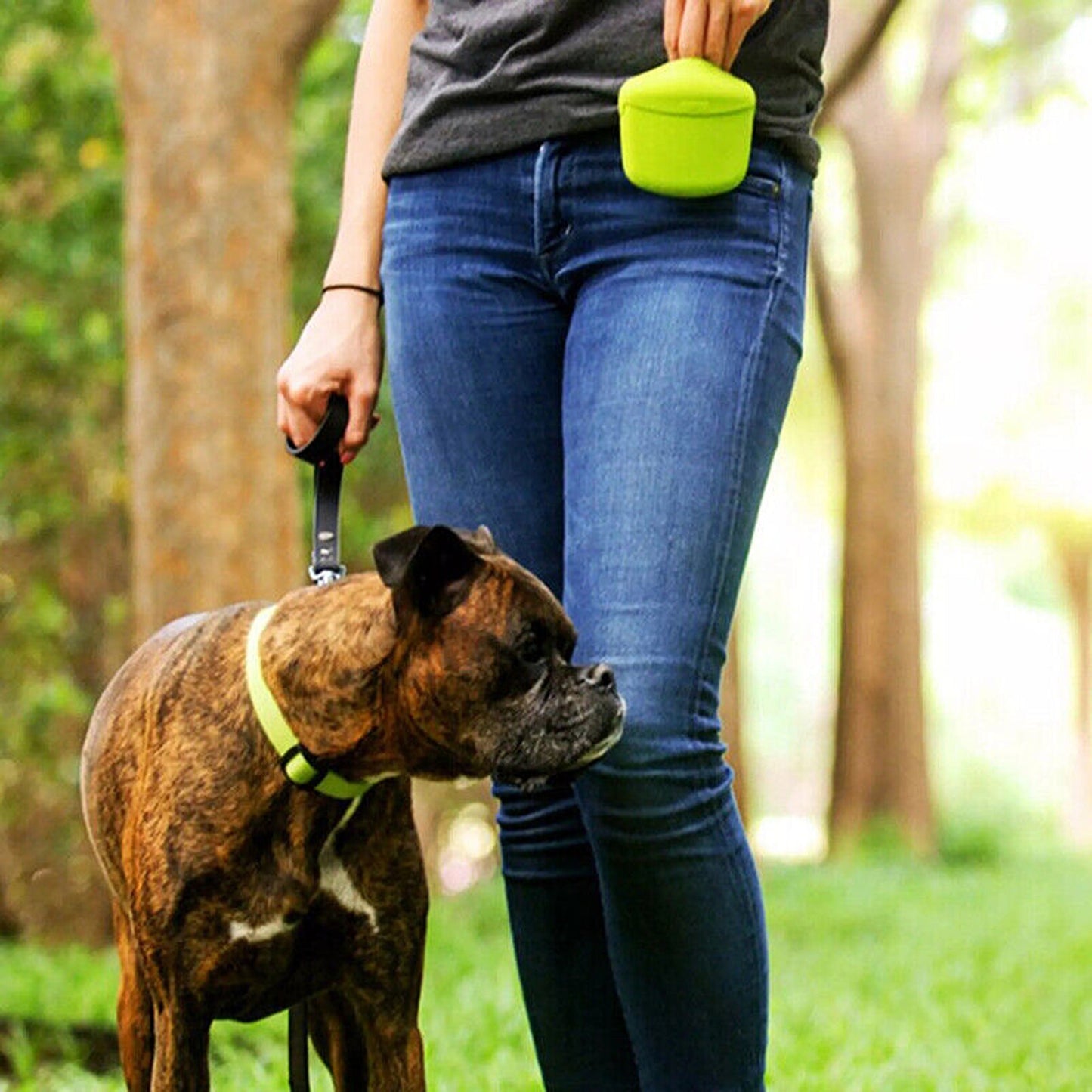 Dog Training Silicone Treat Pouch with Waist Clip
