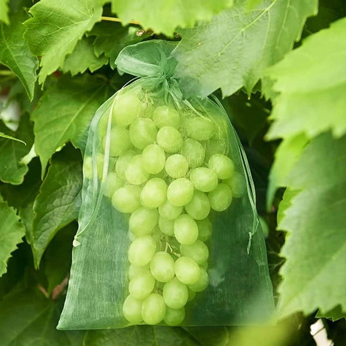 100x Agricultural Fruit Protection Net Bags Insect Proof Mesh 20x30cm