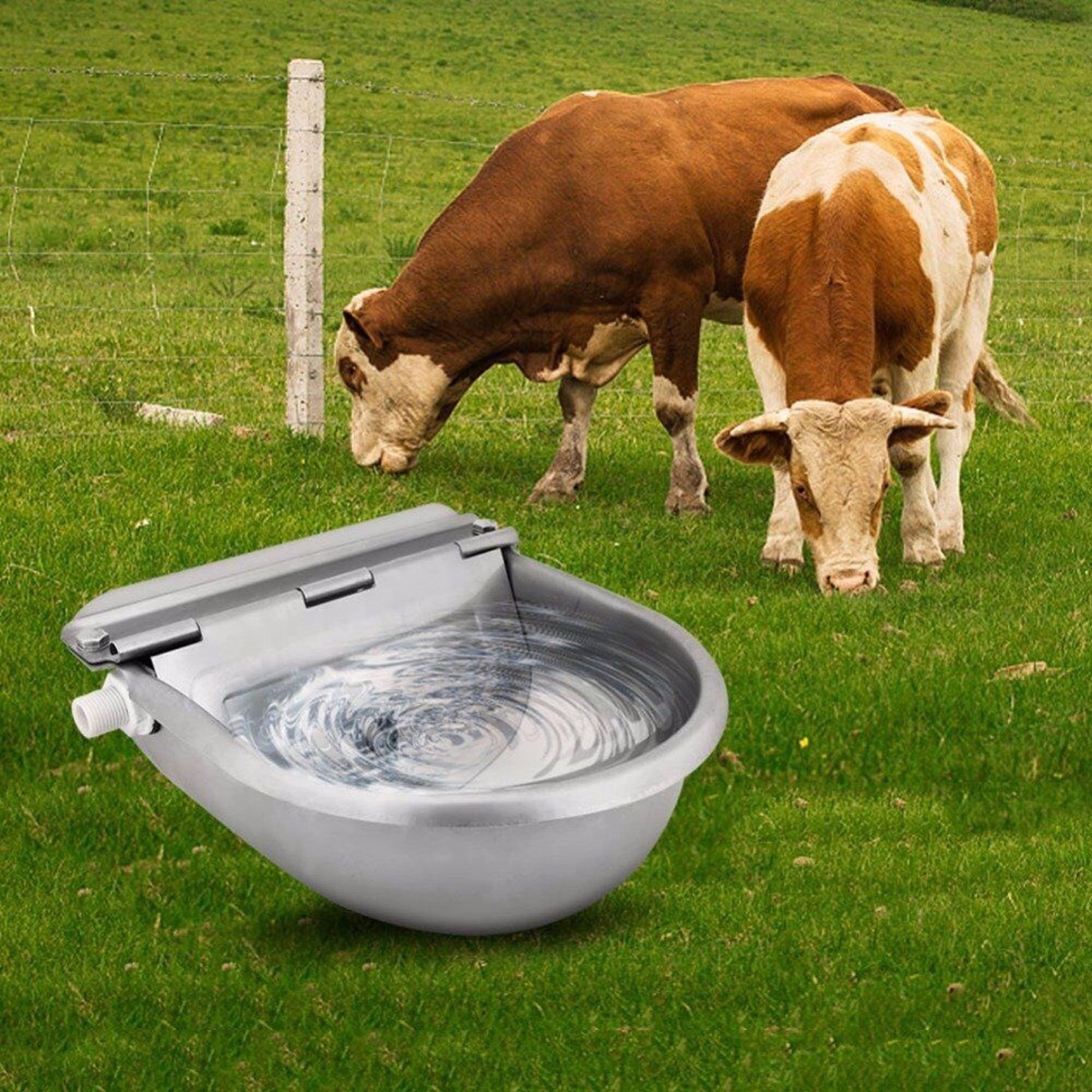 Automatic Drinking Bowl for Animals Auto Fill Water Trough Stainless Steel