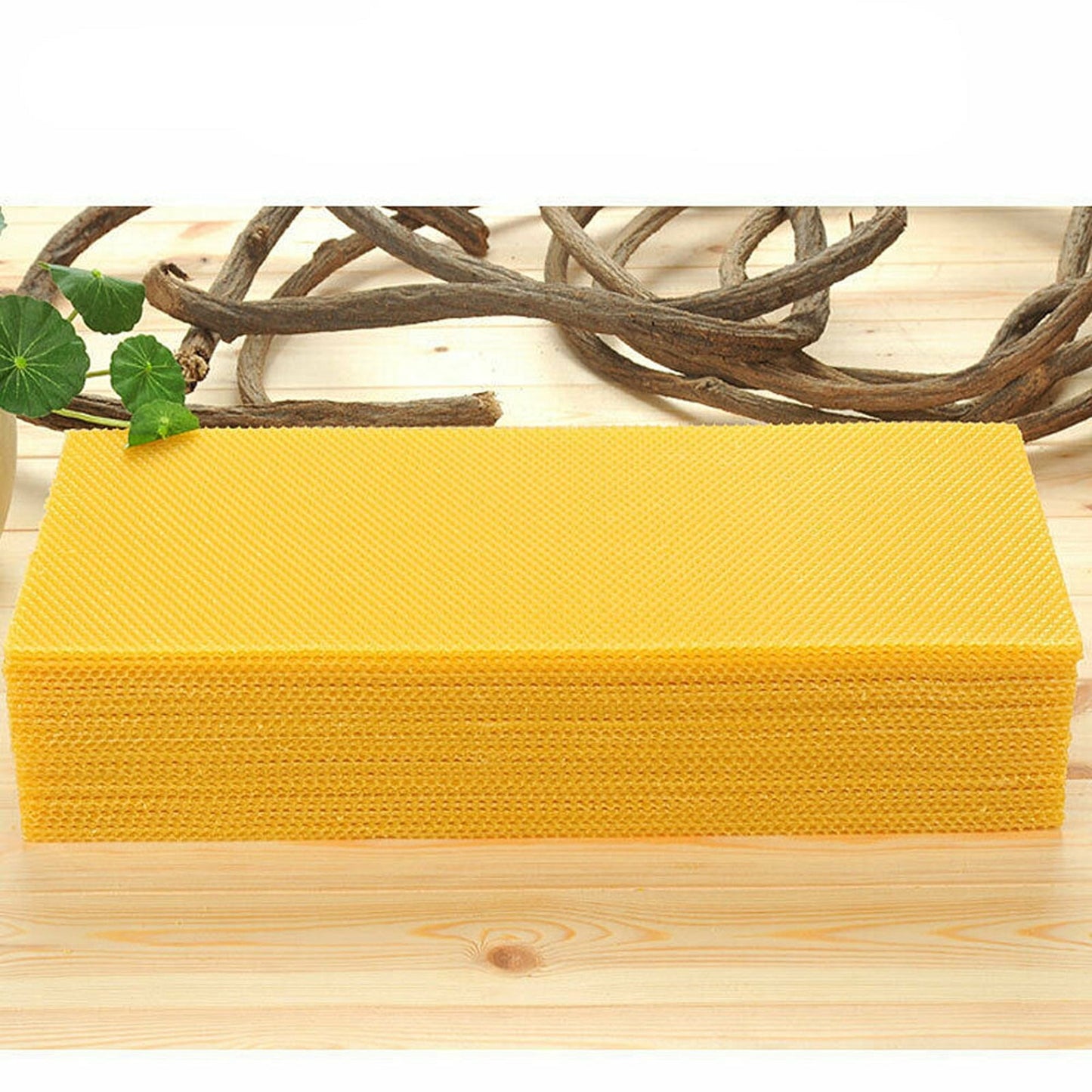 30pcs Beekeeping Equipment Honeycomb Foundation Wax Frames