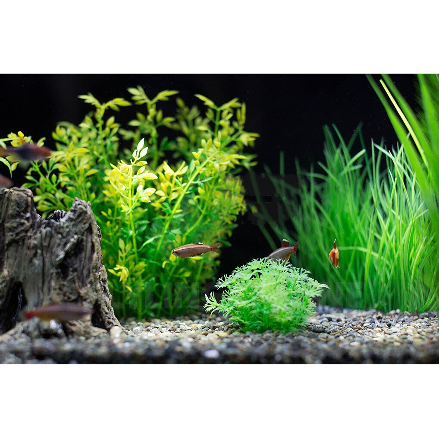 Submersible Aquarium Fish Tank Pump Internal Water Filter Skimmer