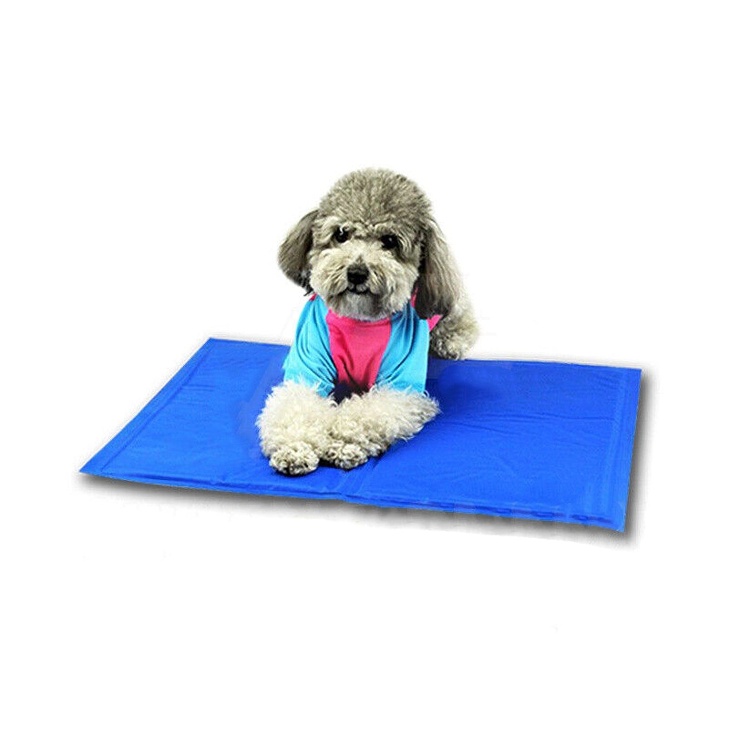 Non-Toxic Cooling Gel Mat for Dogs and Cats Summer Cool Bed
