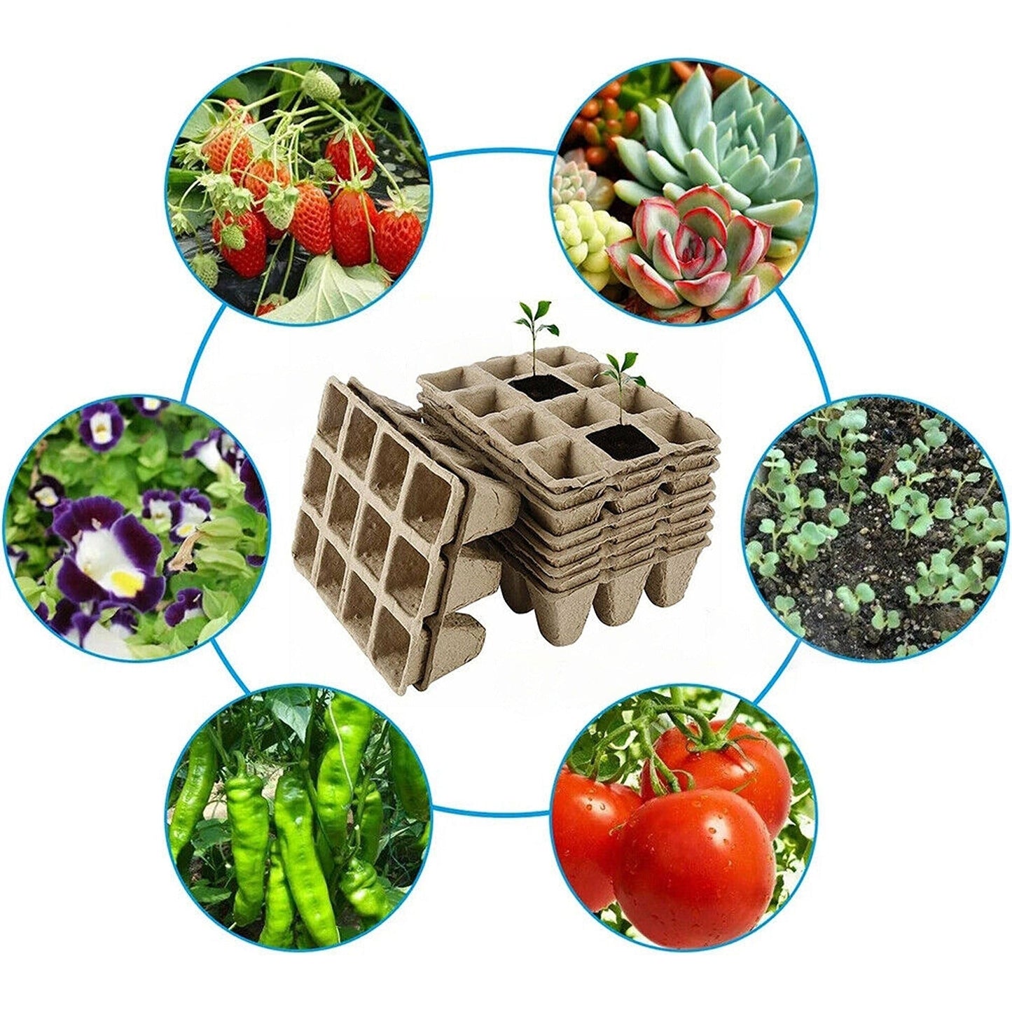 Biodegradable Paper Seedling Trays Garden Nursery Seed Pots