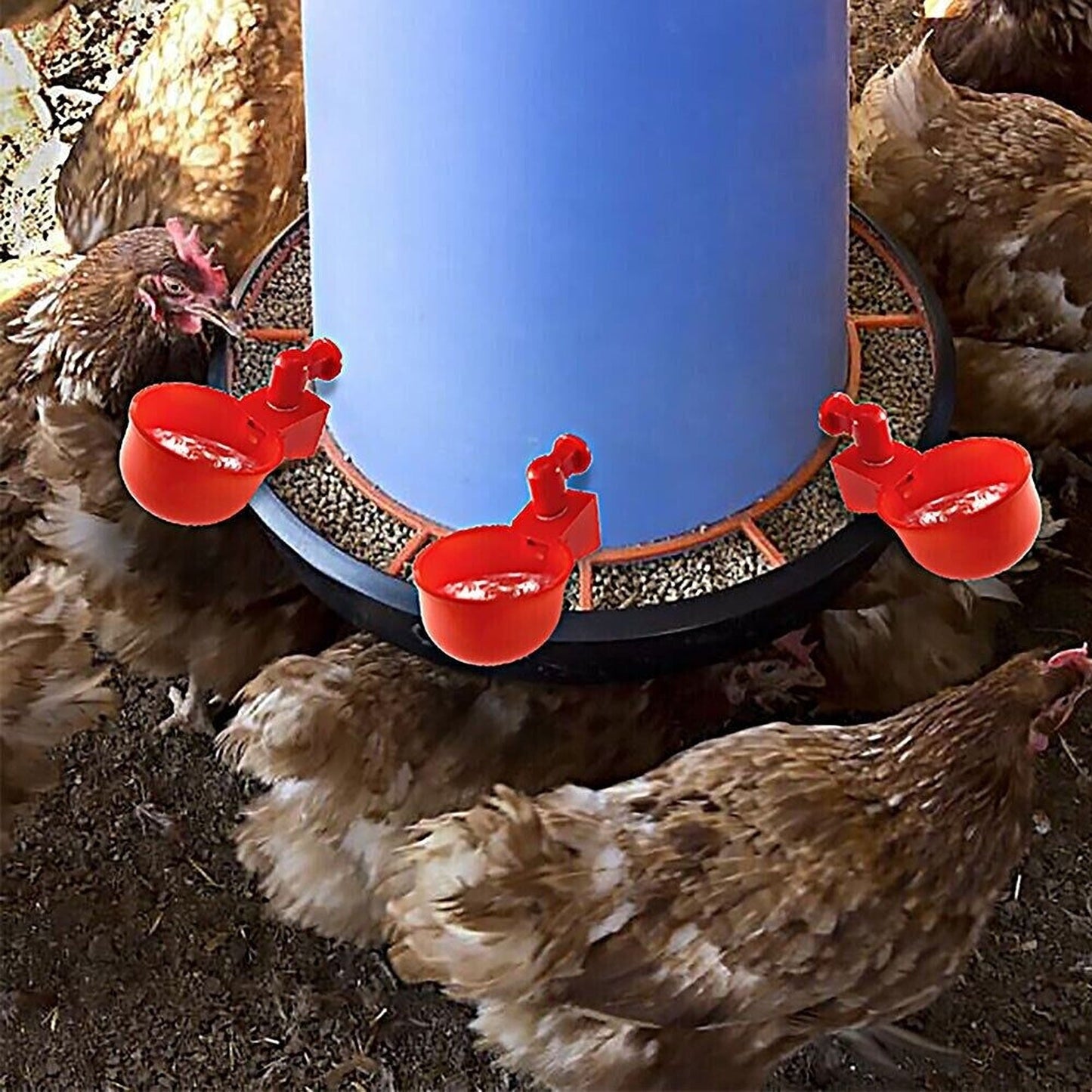 6pcs Automatic Poultry Drinking Bowls Chicken Water Cups Feeder