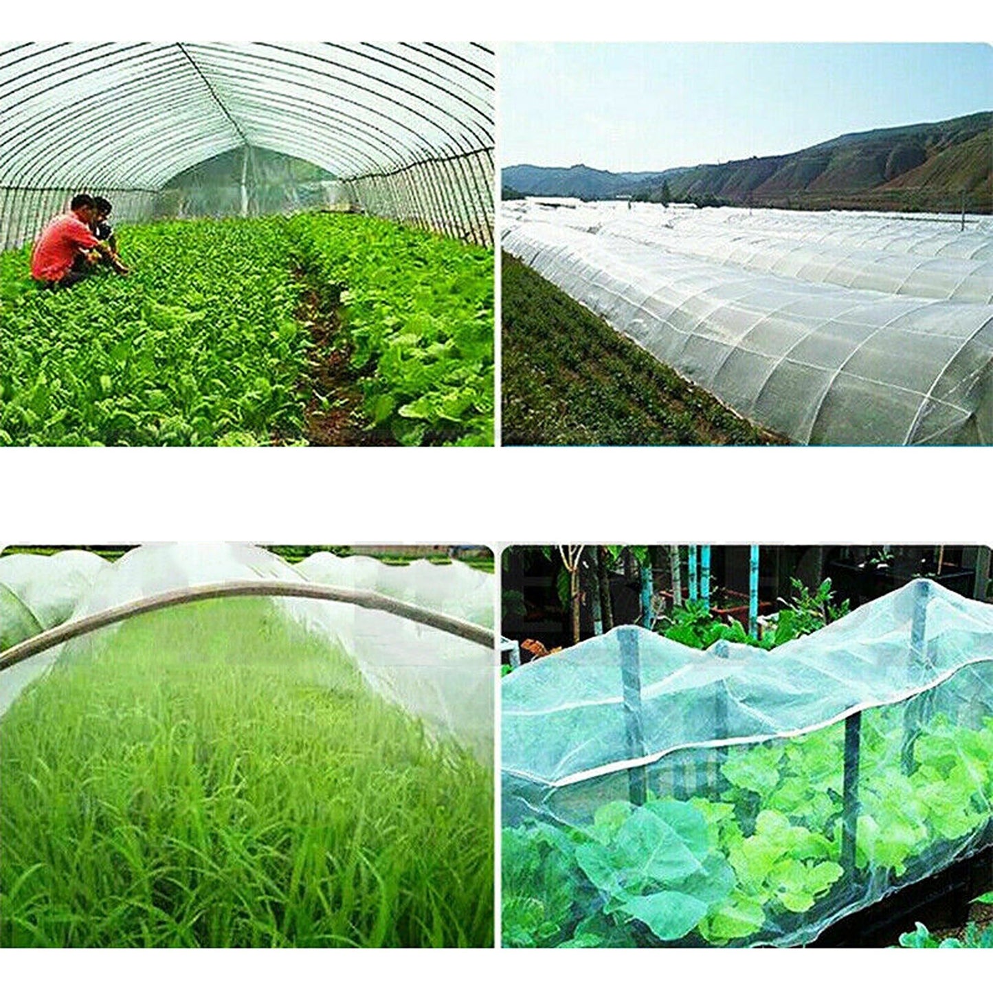 Insect Protection Mesh Netting for Fruits and Vegetable Plants