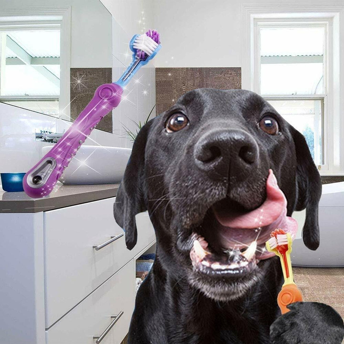 Pet Dental Care Three-Sided Dog Toothbrush for Tartar Reduction