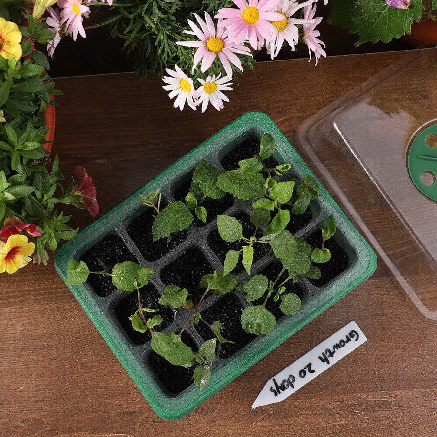 10pcs Planting Starter Kit Multi-Hole Seedling Box