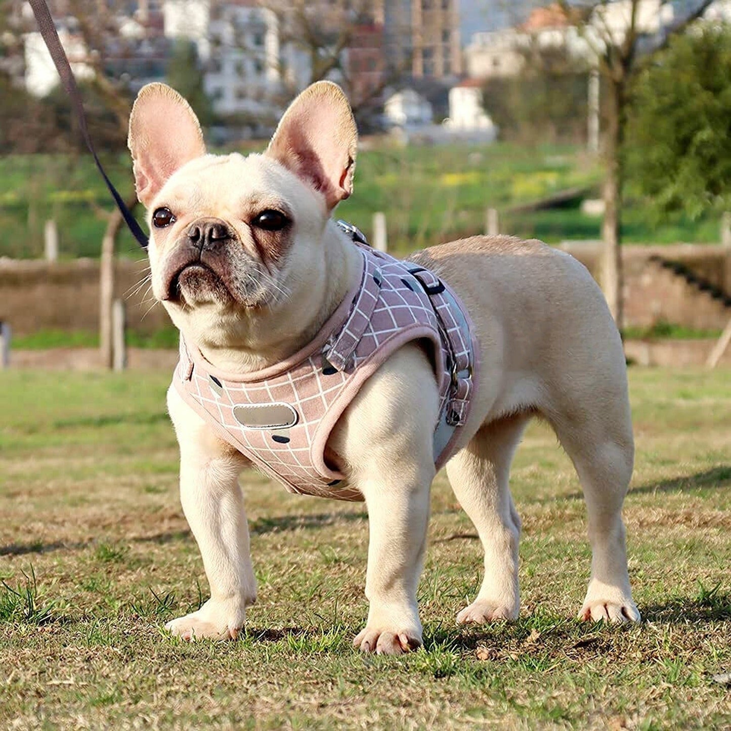 Pink Pet Vest with Adjustable Mesh Dog Cat Walking Harness