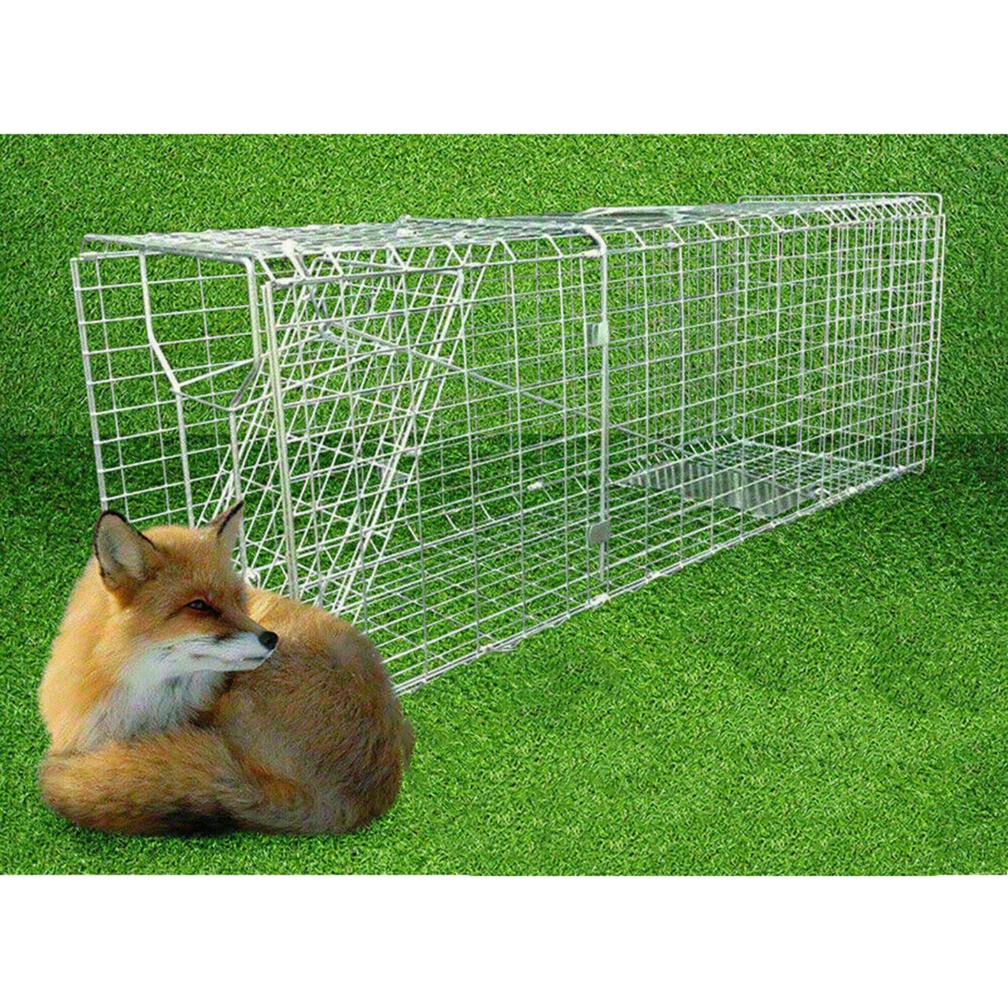 Folding Humane Live Catch Animal Trap Cage for Possum Fox Rat Rabbit Bird