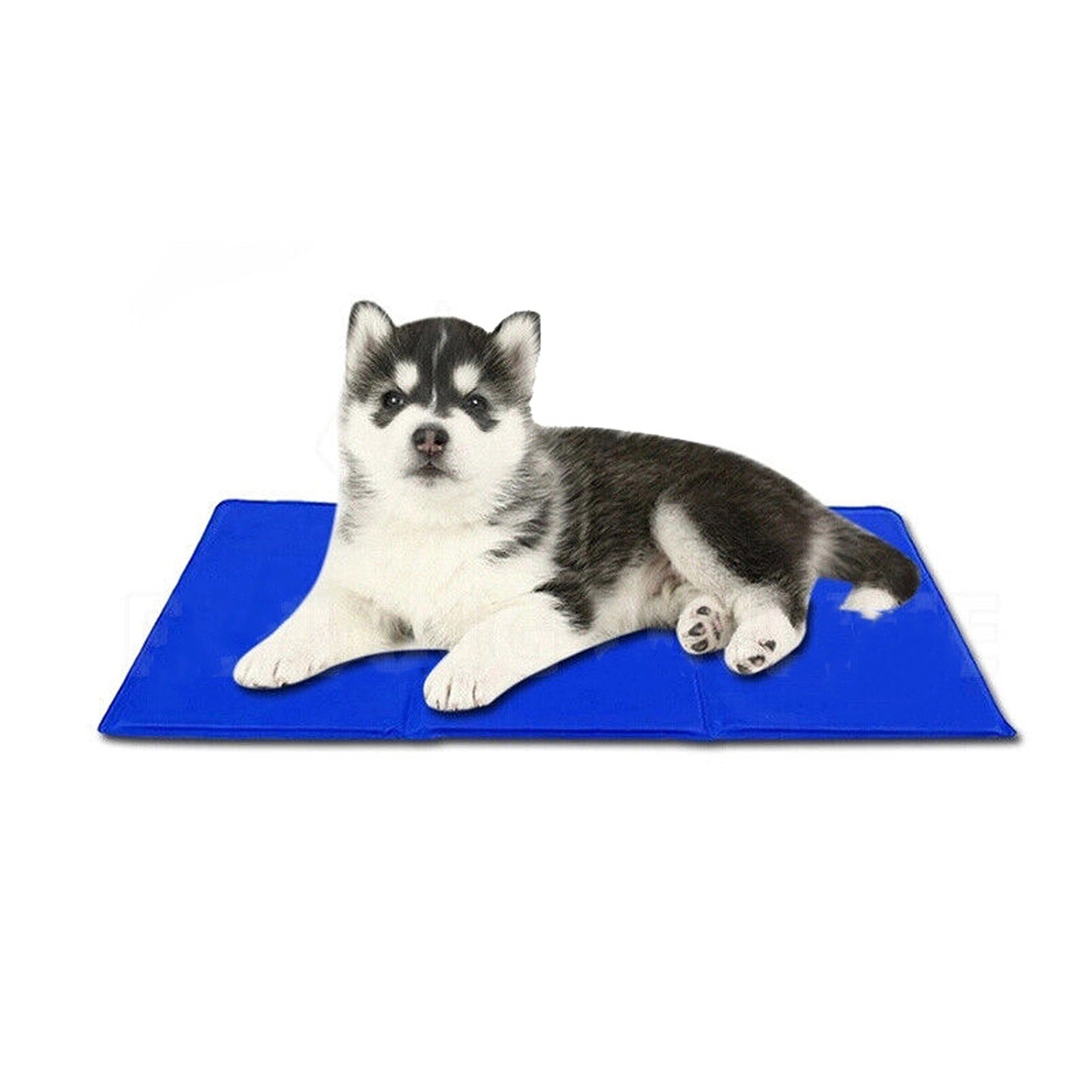 Non-Toxic Cooling Gel Mat for Dogs and Cats Summer Cool Bed
