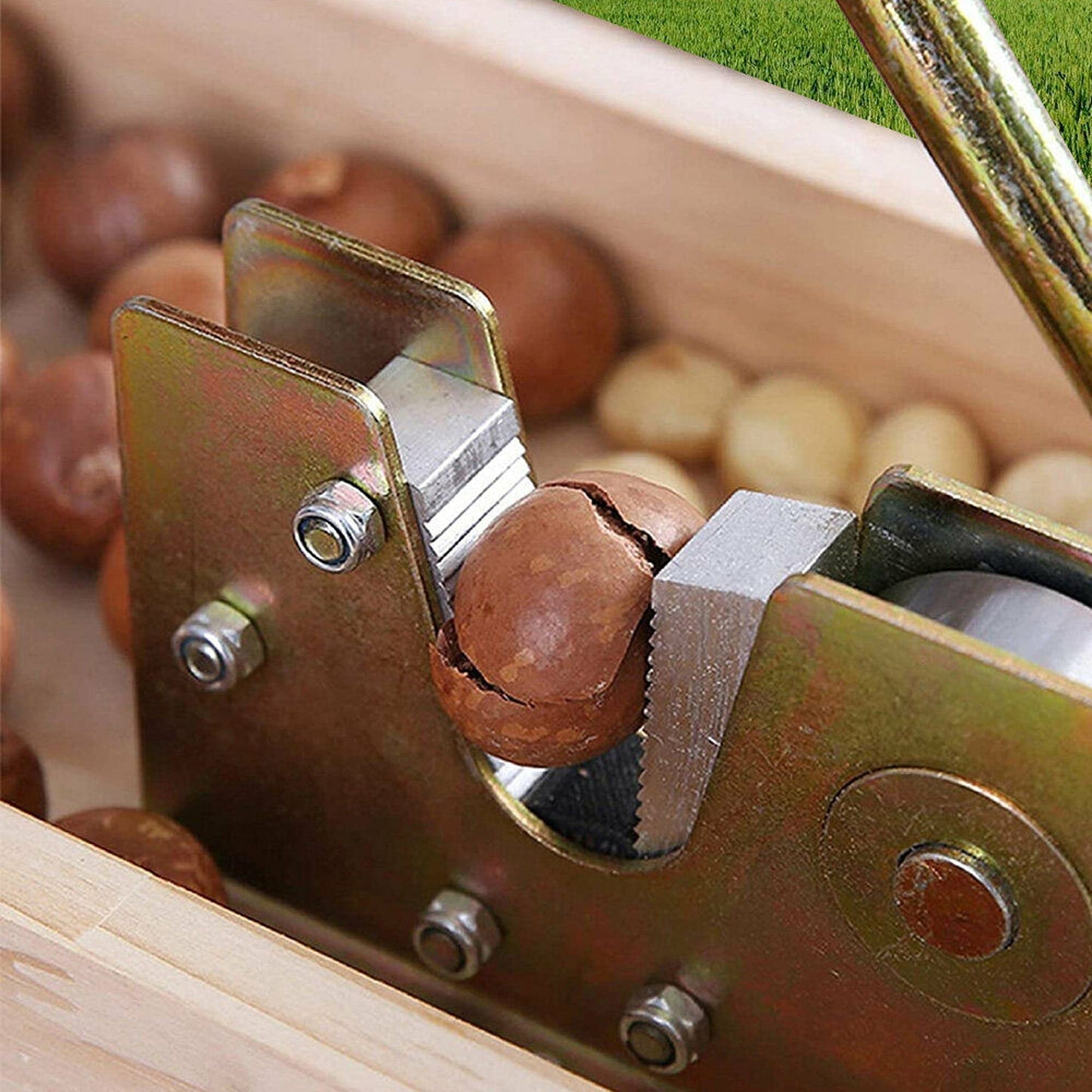Manual Macadamia Nut Cracker with Hand Grip Durable Nutcracker Tool