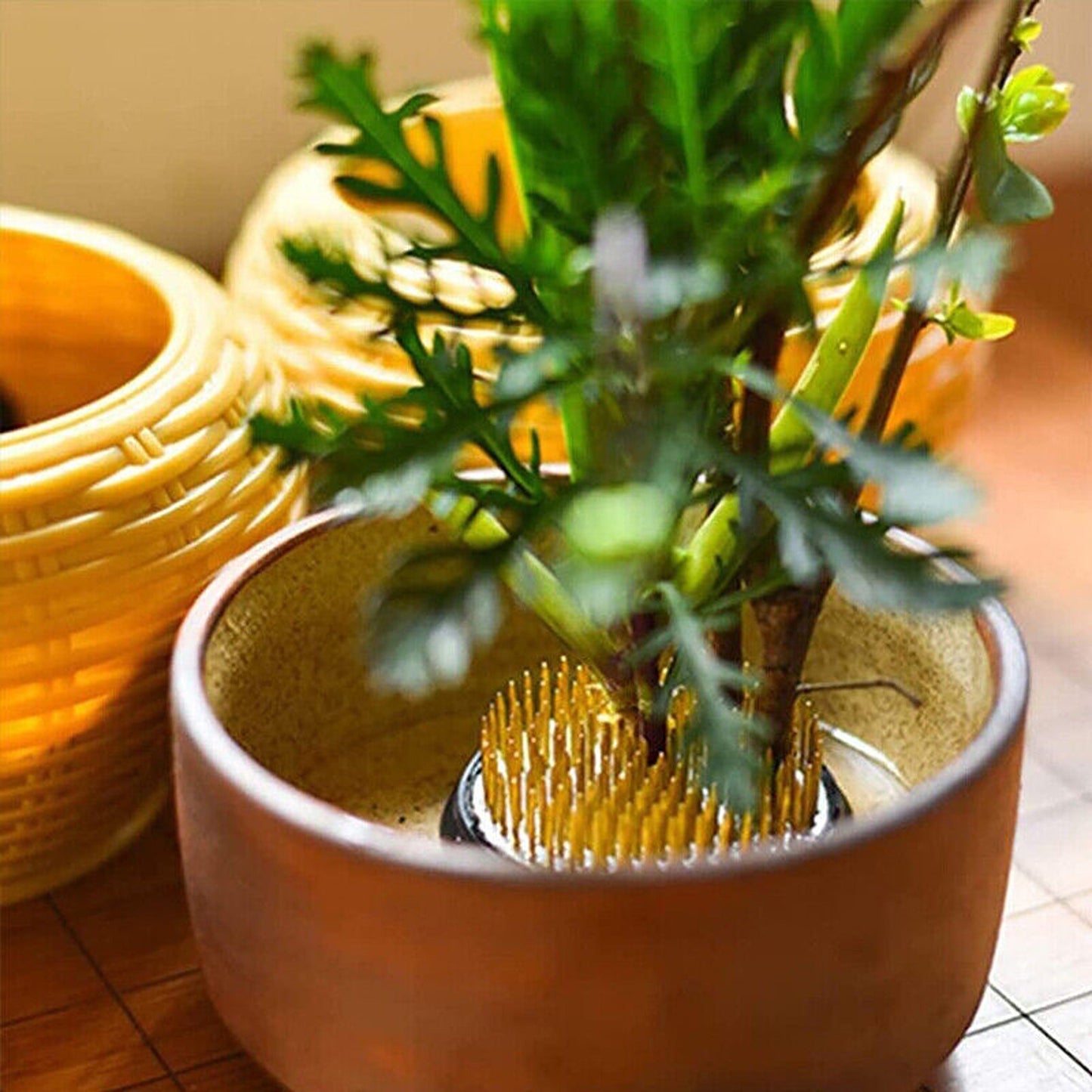 For Ikebana Kenzan Spiky Frog Fixed Tool Flower Arrangement Round Base