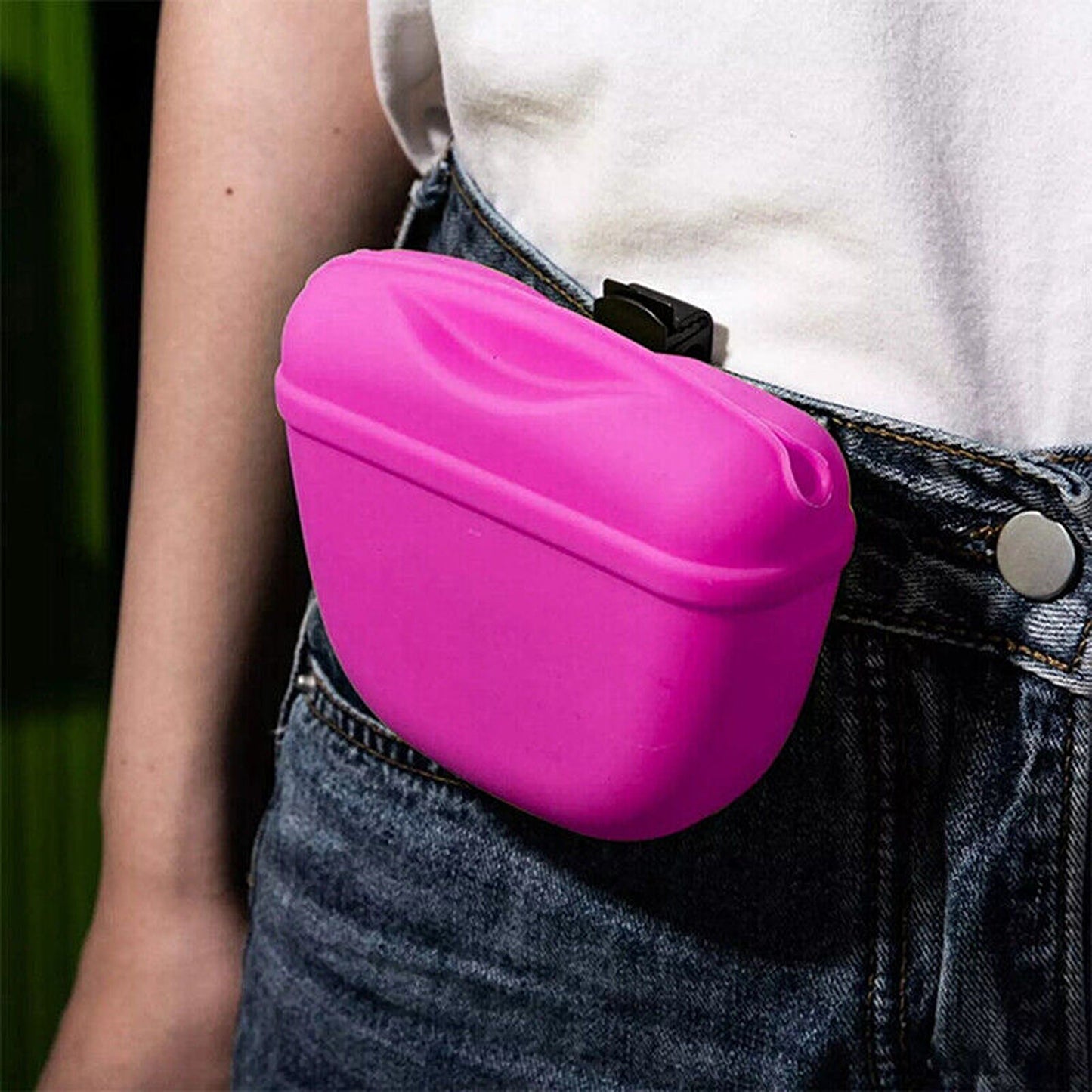 Dog Training Silicone Treat Pouch with Waist Clip