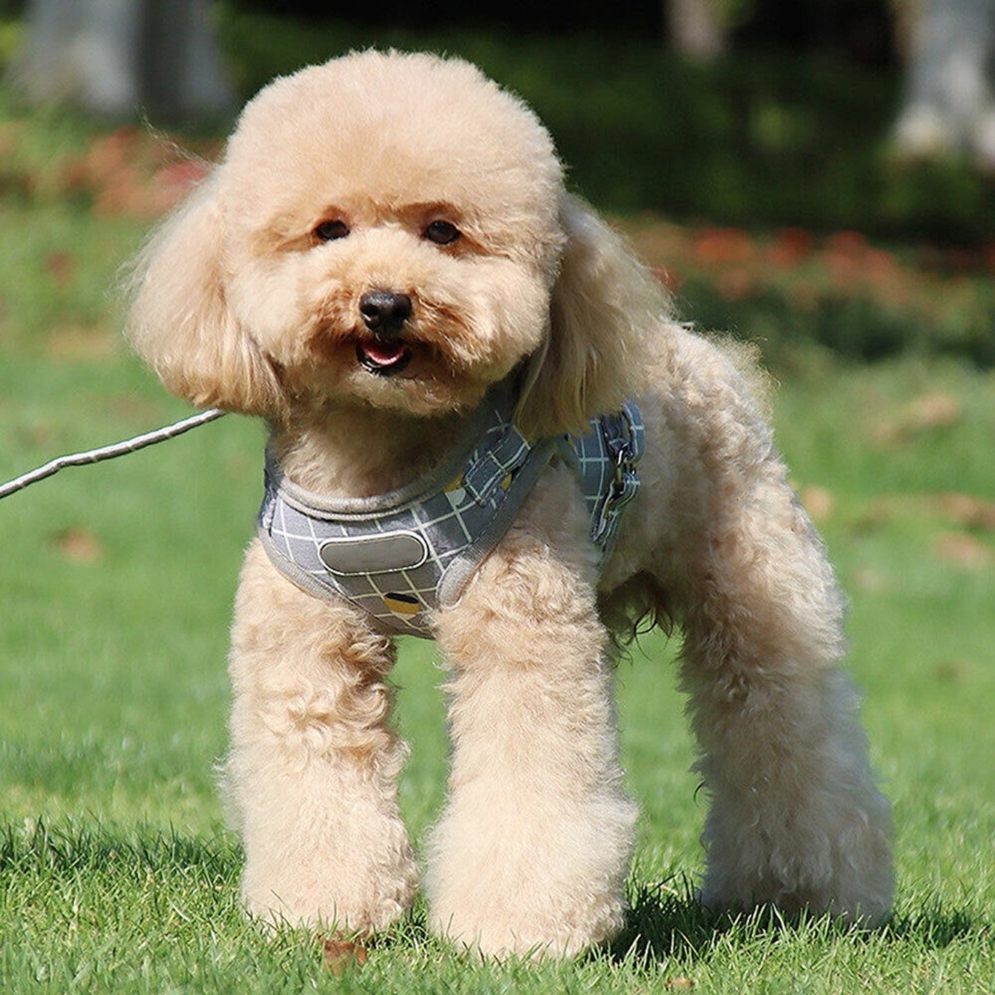 Grey Mesh Harness for Pets Adjustable Dog Cat Walking Vest