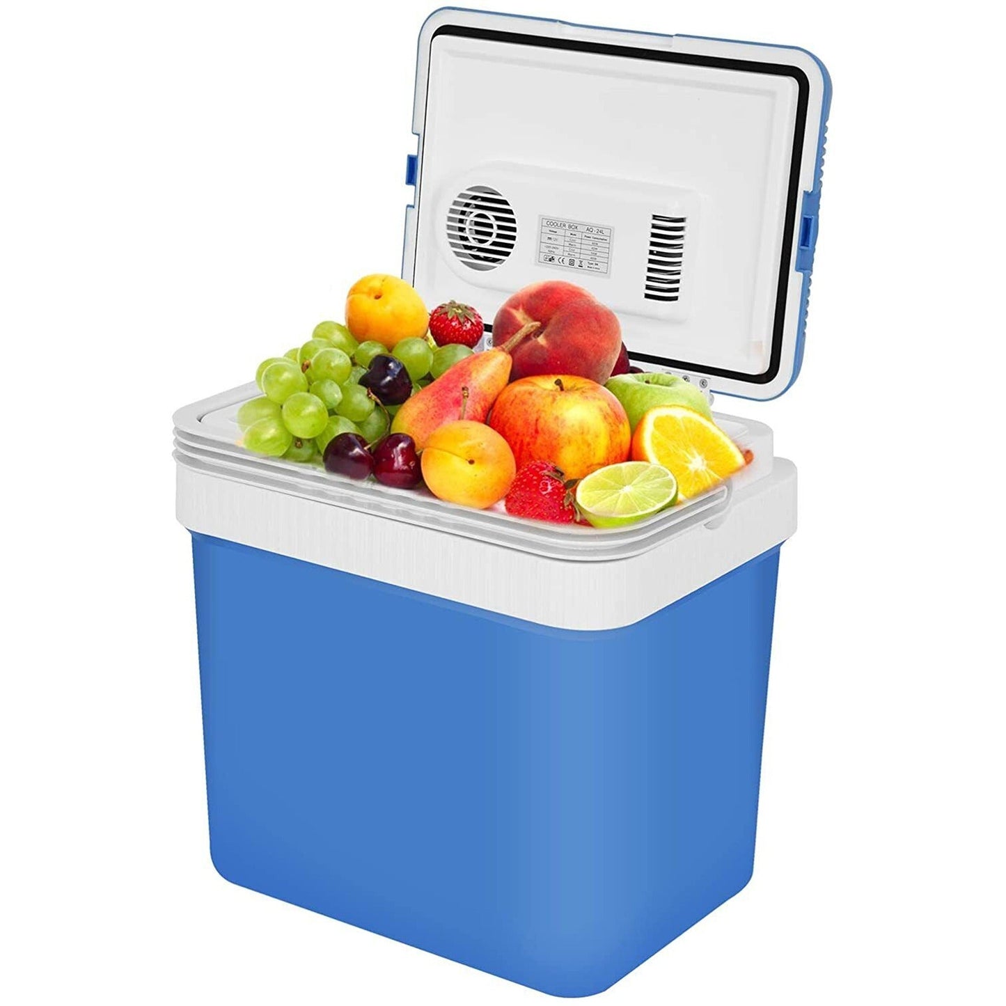 24L Portable Mini Fridge Cooler and Warmer for Camping