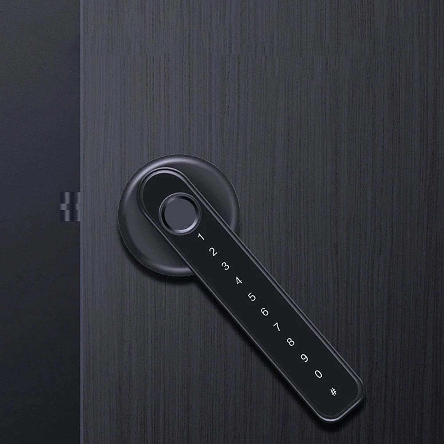 Smart Door Lock with Fingerprint and Bluetooth Digital Handle