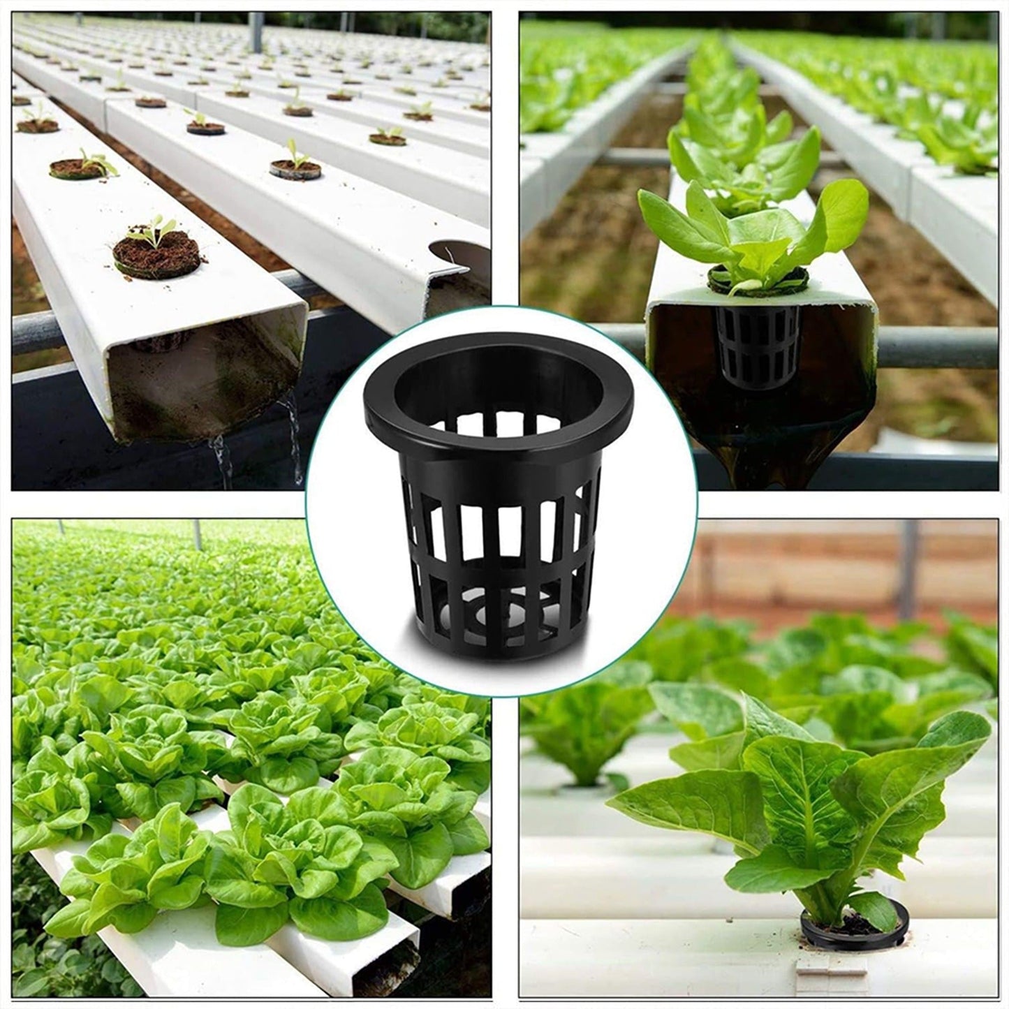 40pcs Hydroponics Aeroponic Planting Baskets Mesh Net Cup