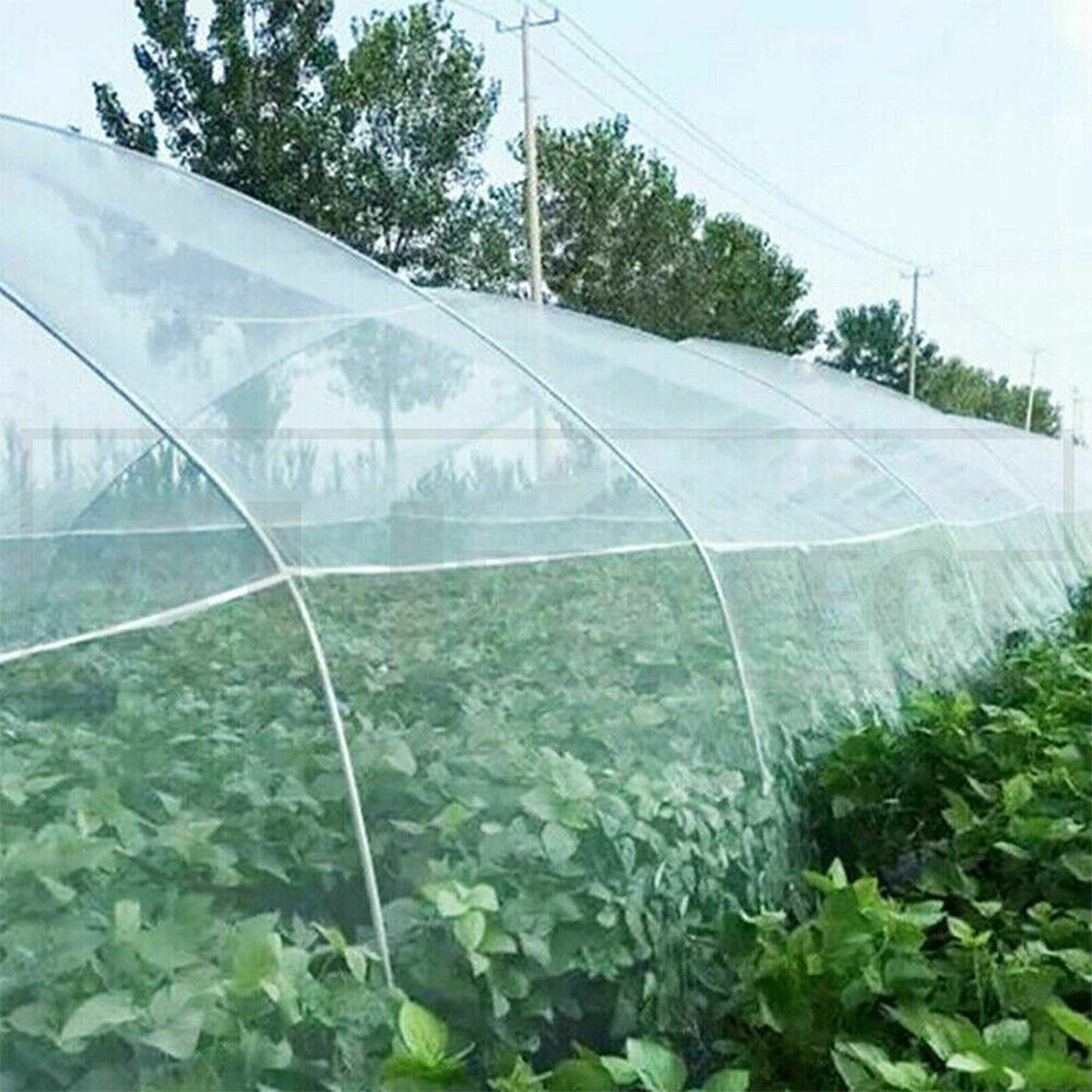 Insect Protection Mesh Netting for Fruits and Vegetable Plants