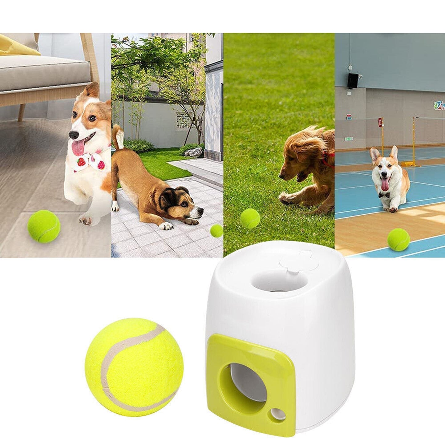 Interactive Reward Machine for Dogs - Tennis Ball Snack Launcher