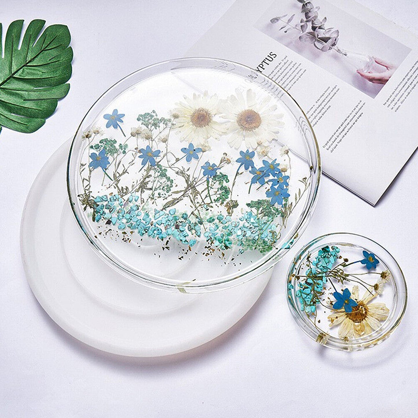 DIY Resin Coaster and Fruit Plate Silicone Molds Set