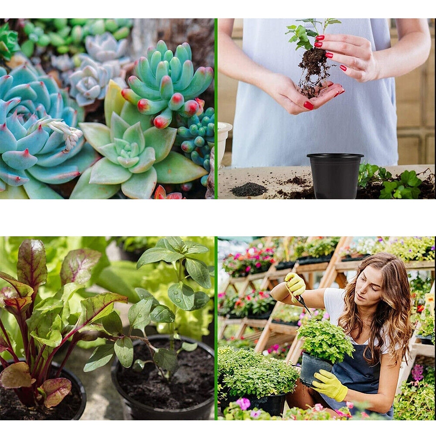 100pcs Plastic Growing Containers for Nursery Plants and Seedlings
