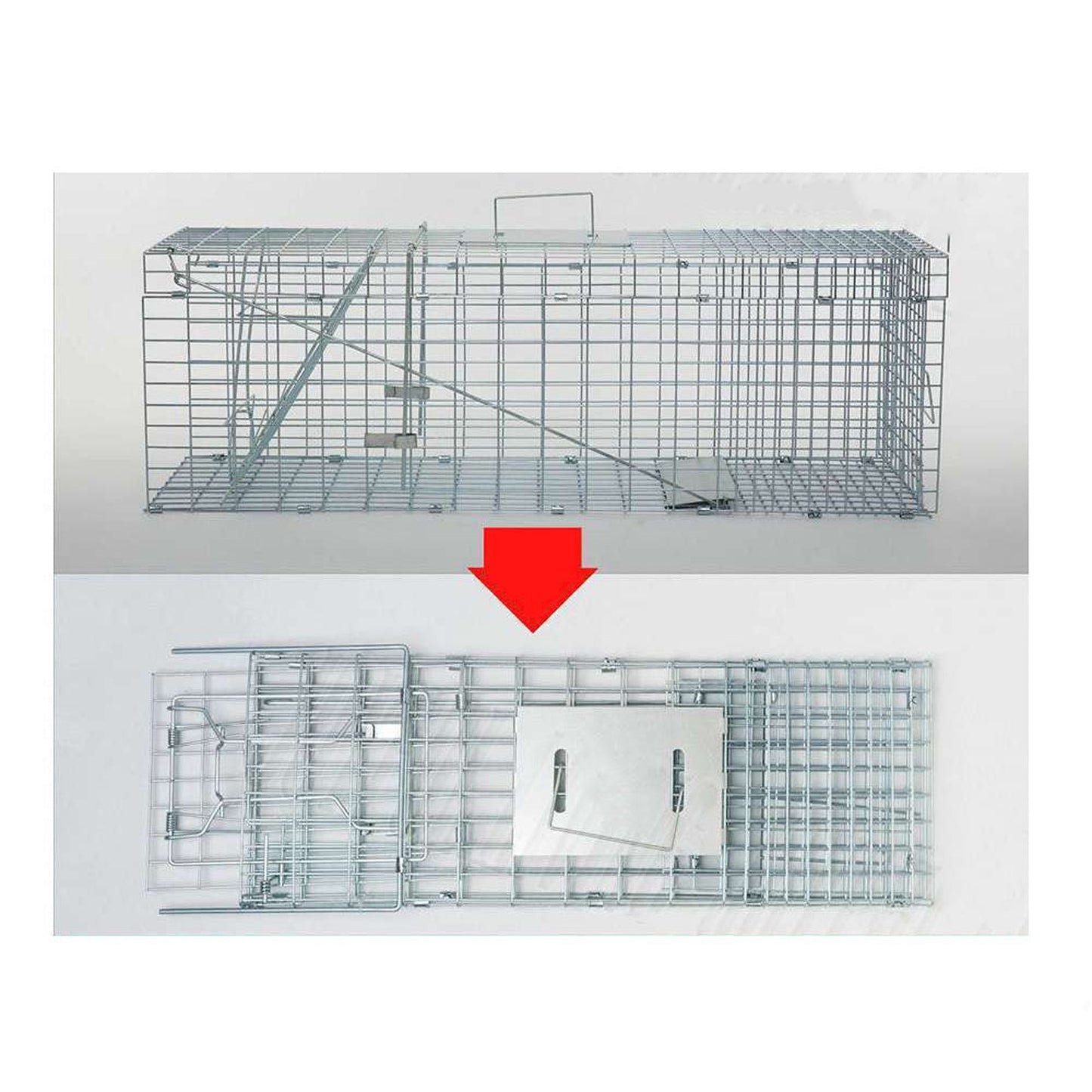 Live Catch Animal Trap Cage for Possum Cat Rabbit and Fox - Humane
