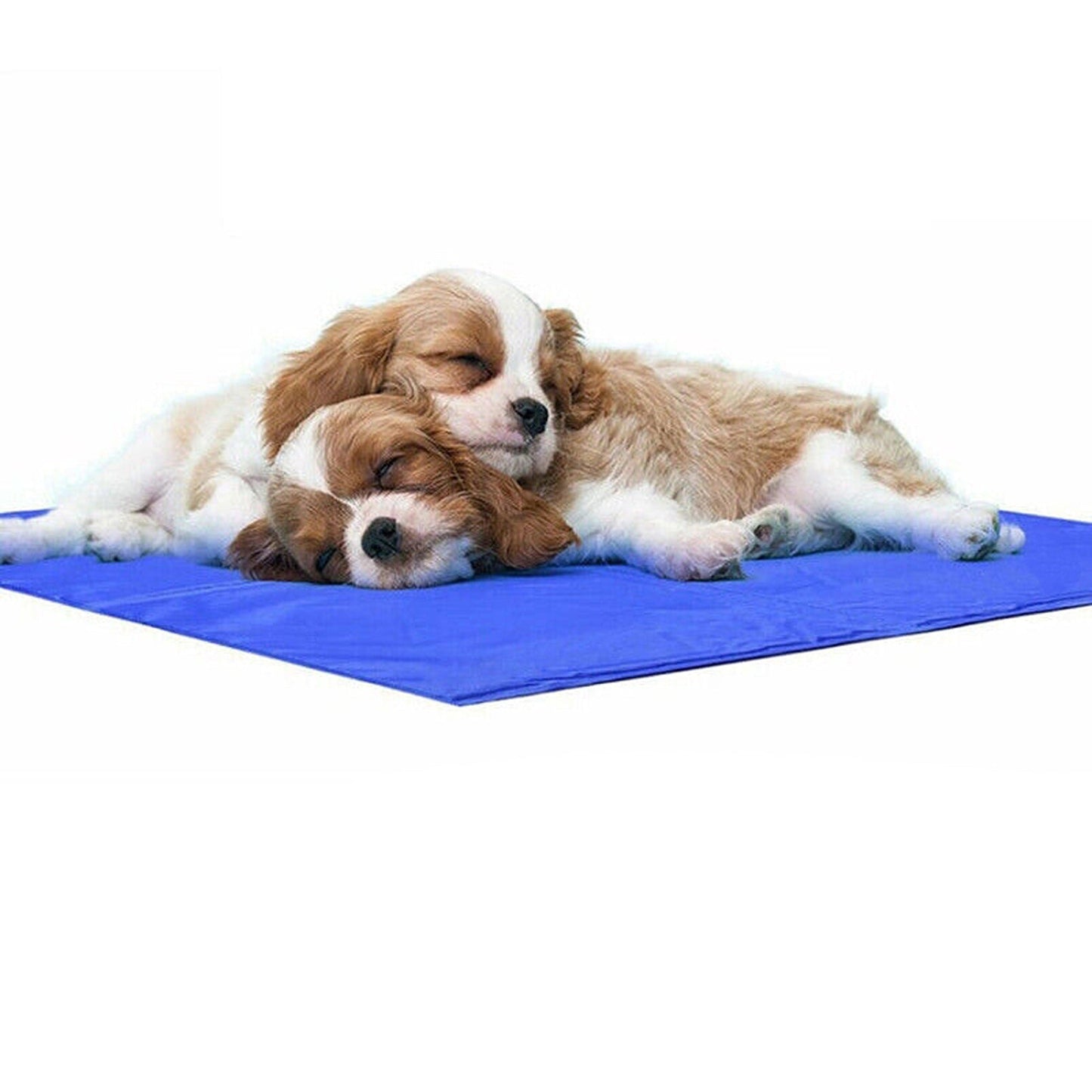 Non-Toxic Cooling Gel Mat for Dogs and Cats 5 Sizes Available