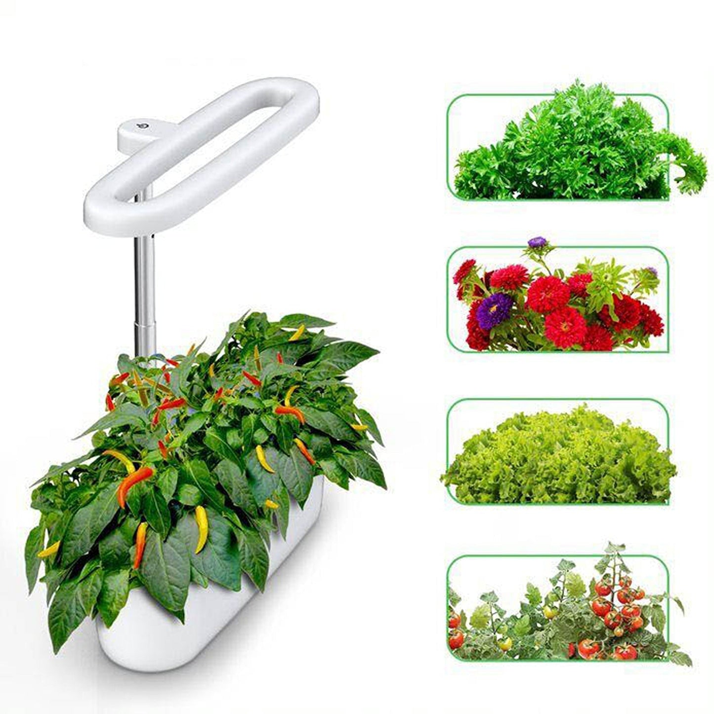 Indoor Hydroponics Herb Garden Starter Kit with LED Grow Lights