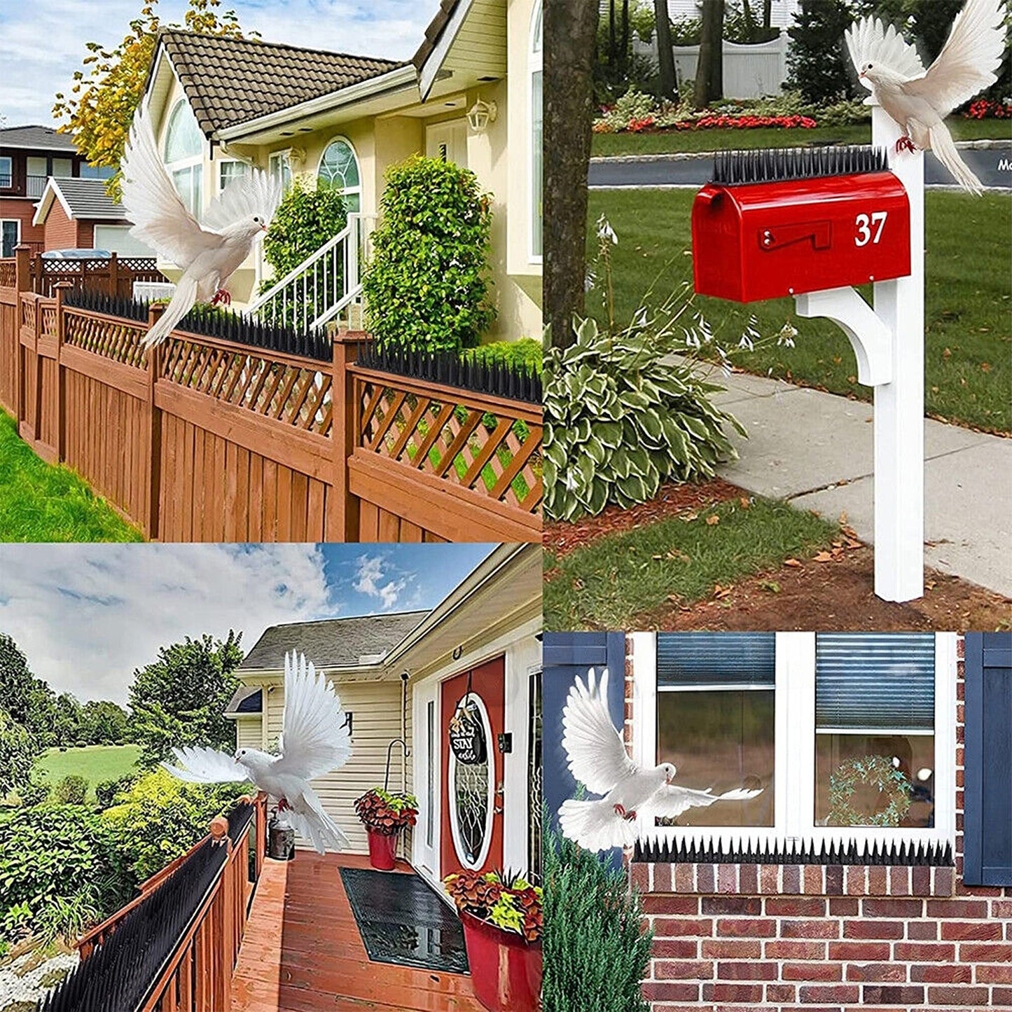 12pcs Effective Pest Control Spikes Anti-Bird Deterrent Fence