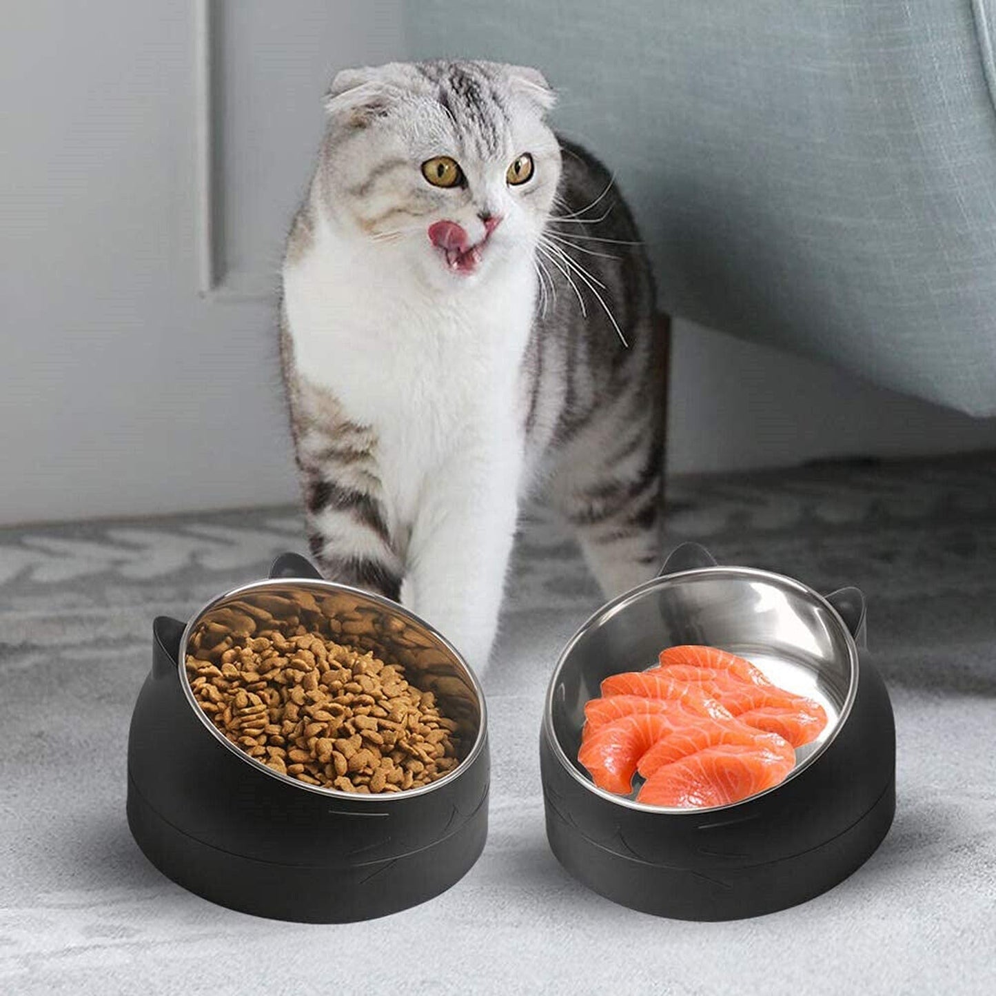 2pcs Elevated Dog Bowl Stand with Tilted Food Water Feeder