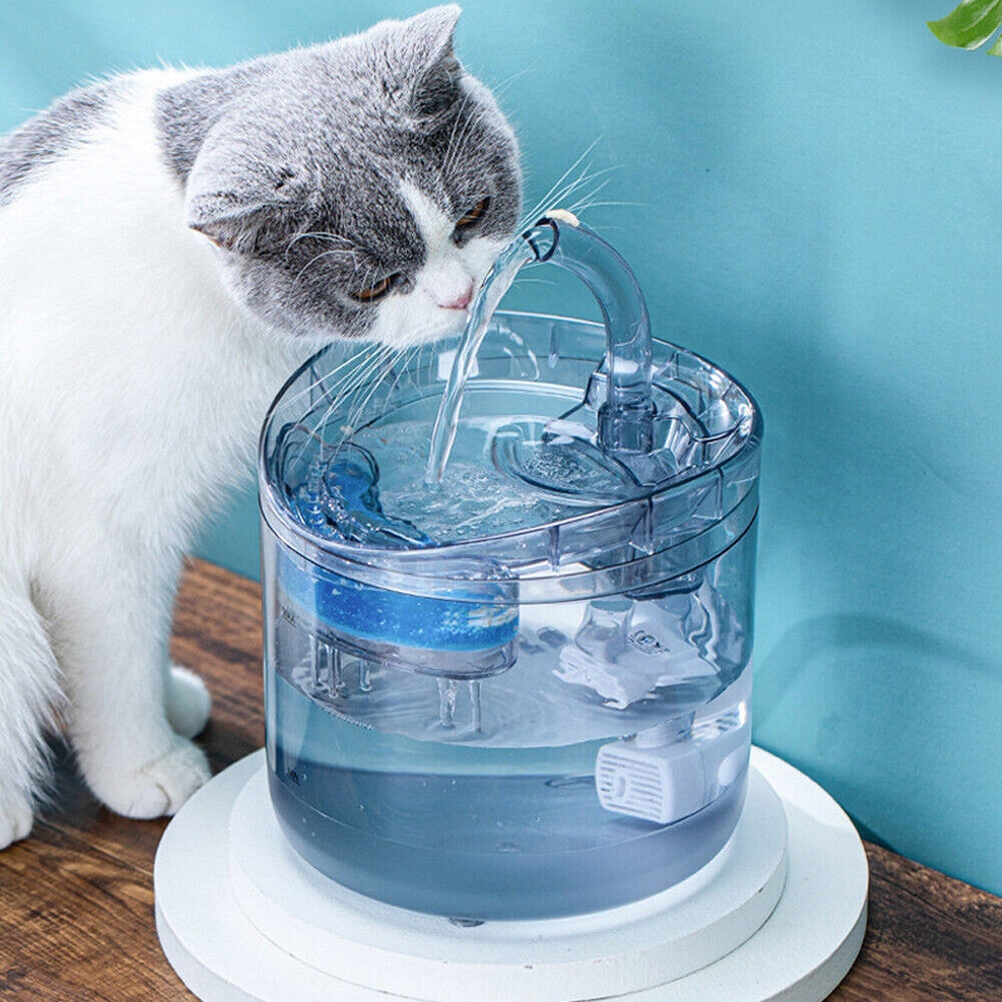 Automatic Electric 2L Pet Water Fountain Cat Dog Sensor Drink Dispenser Filter