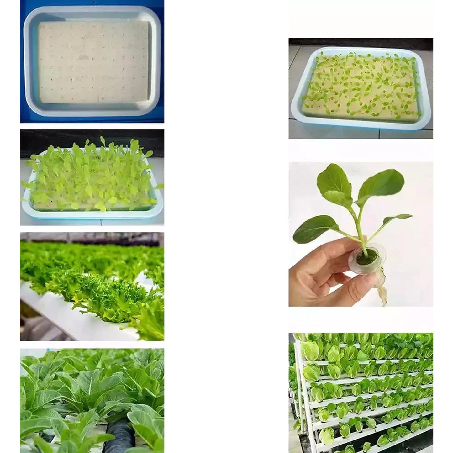 Home PVC Hydroponic Growing System with 108 Plant Sites and Water Pump