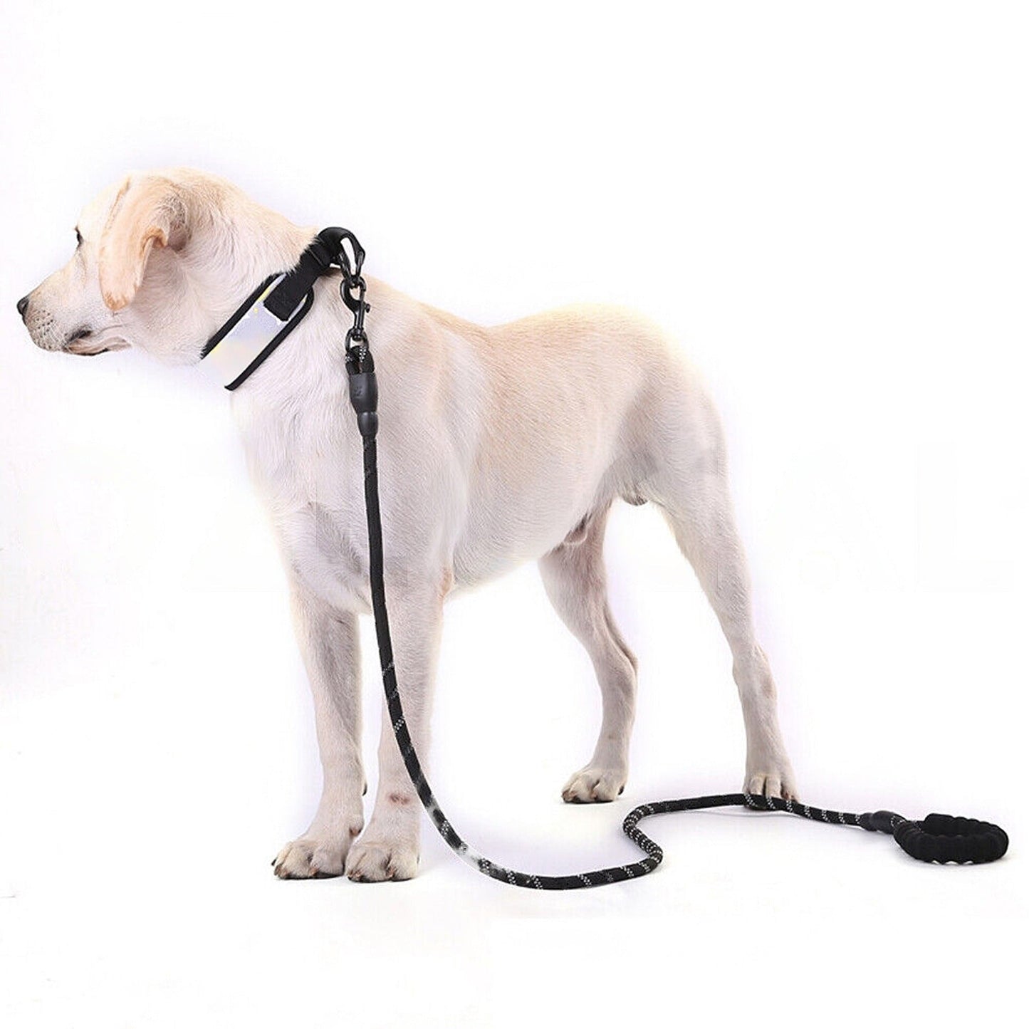 Black Heavy Duty Nylon Dog Training Leash Strong Rope Recall Lead