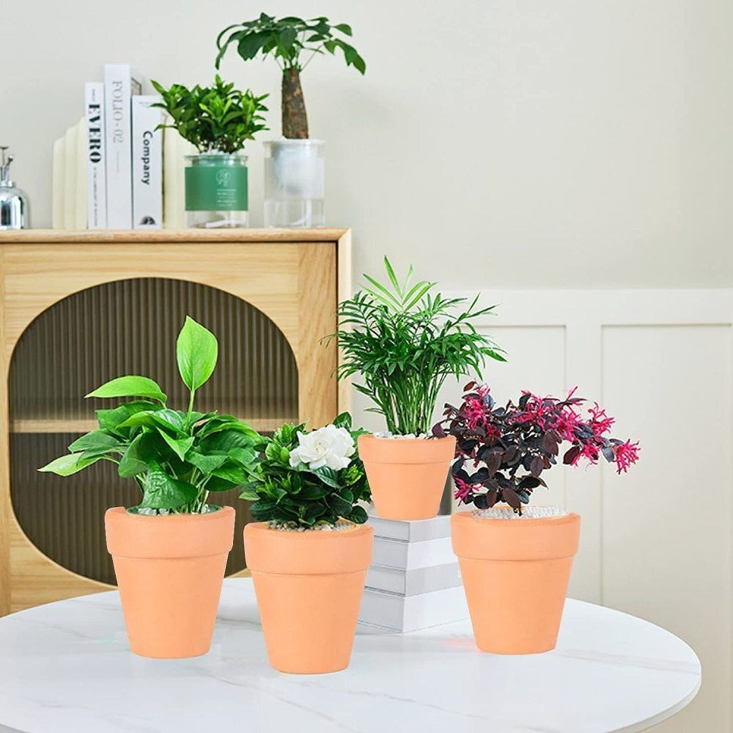 10pcs Decorative Mini Succulent Planters Terracotta Clay Pots